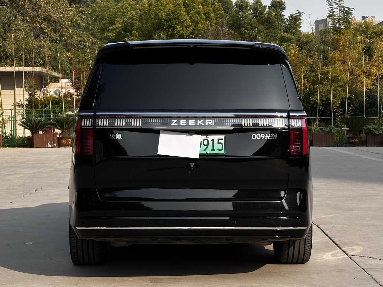 Zeekr 009 2024 imagen de coche #8