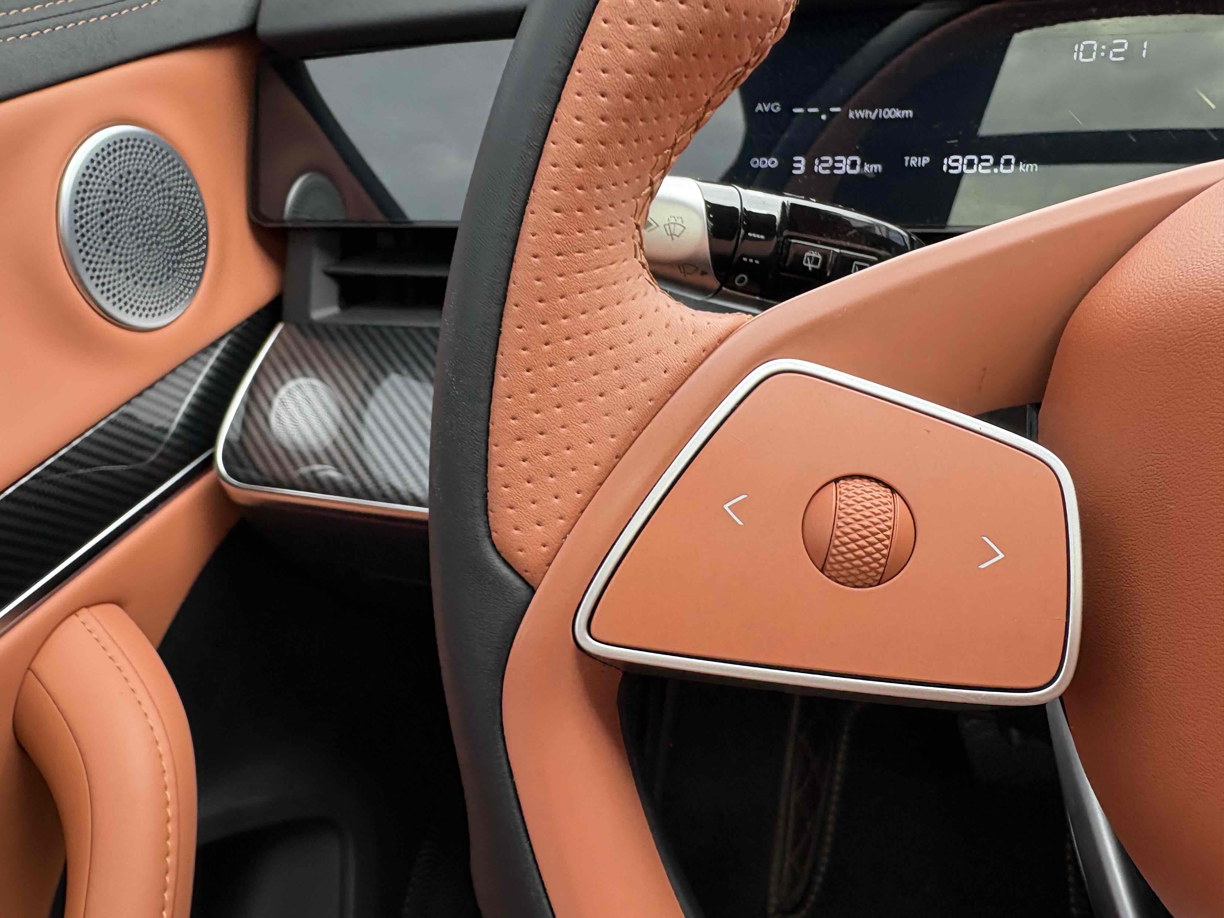 Neta L 2024 imagen de coche #8