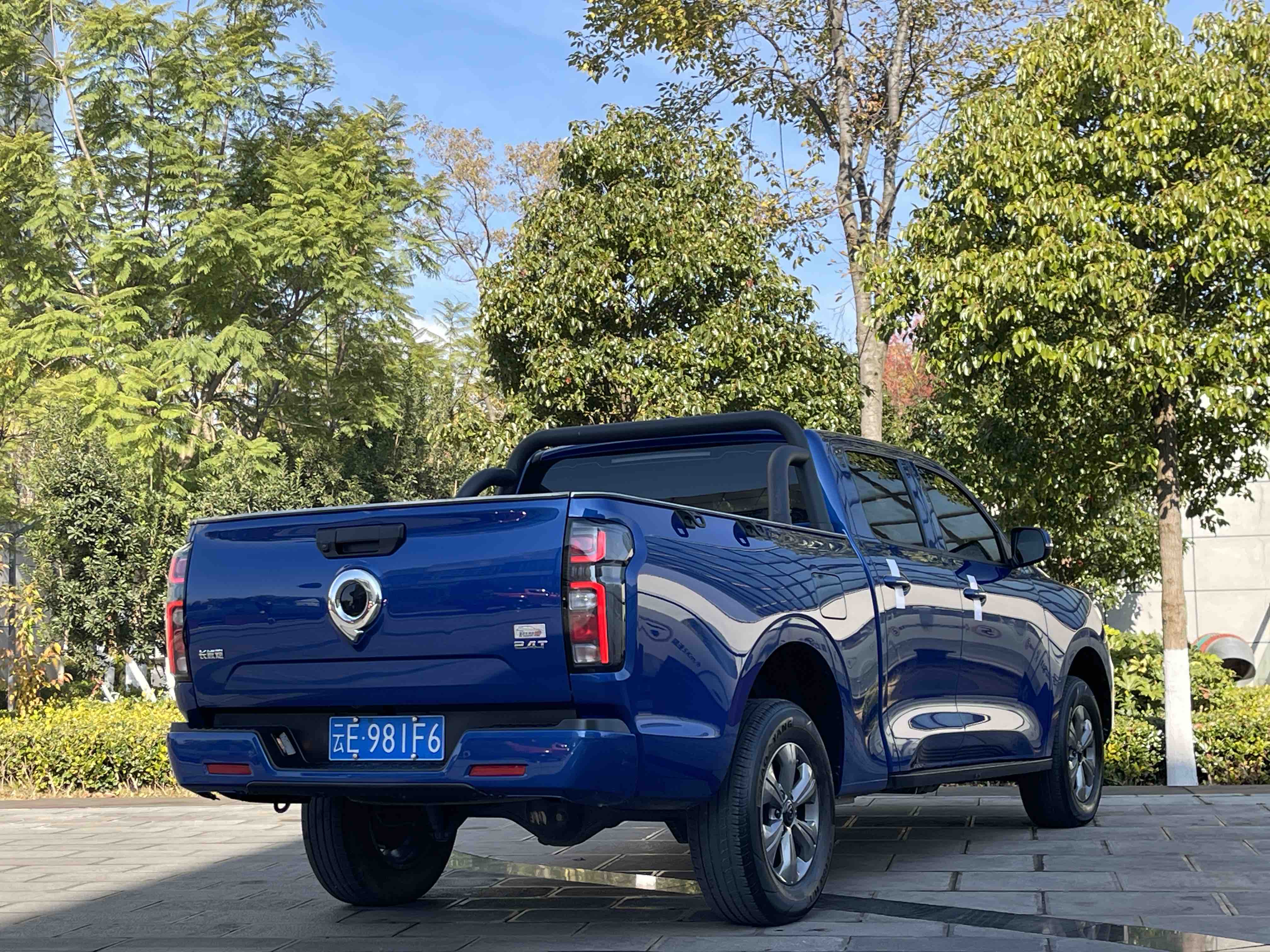 Great Wall Poer 2025 #8 Great Wall Poer 2025 car image #8