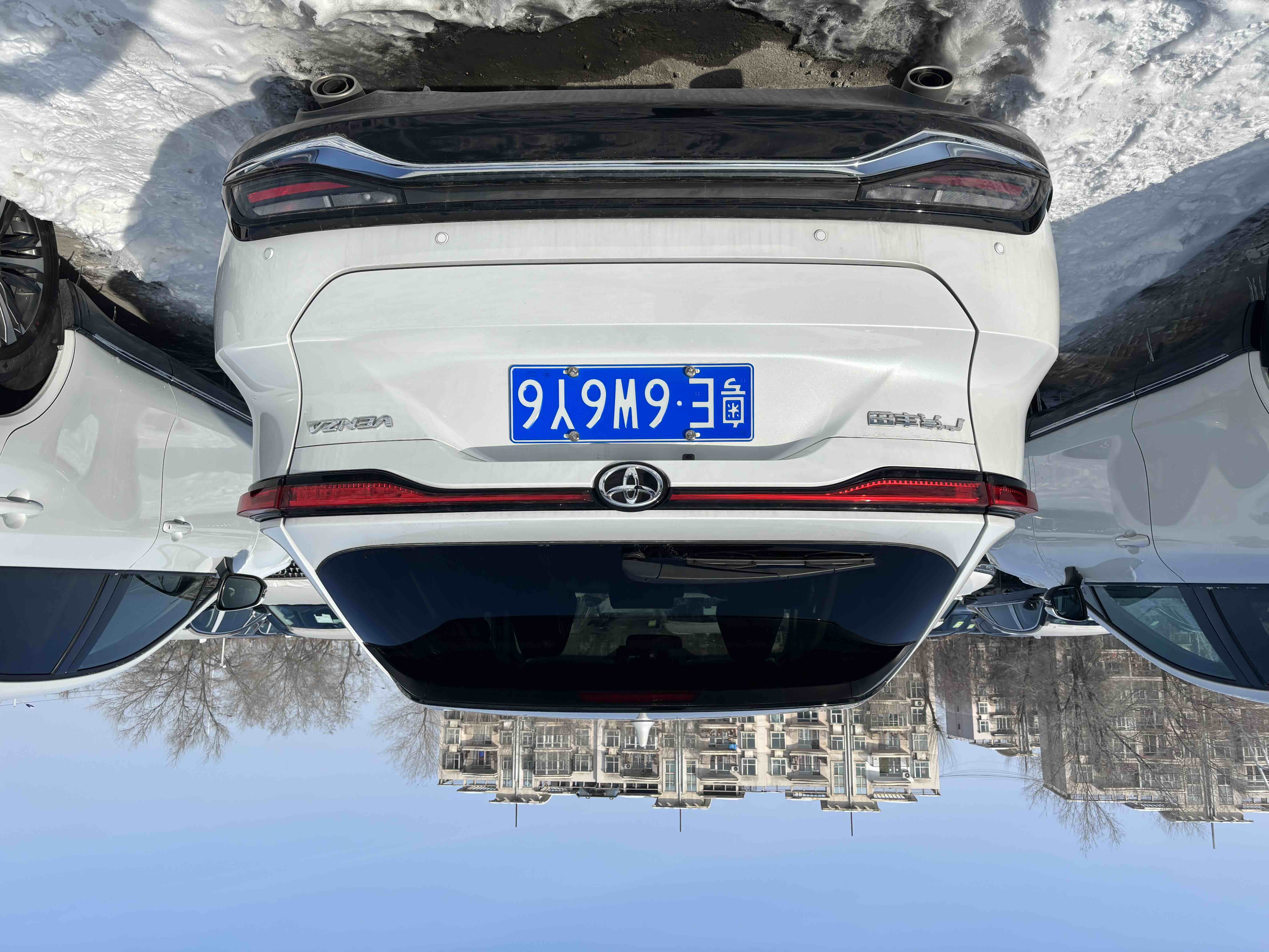 Toyota Venza 2025 immagine di auto #8