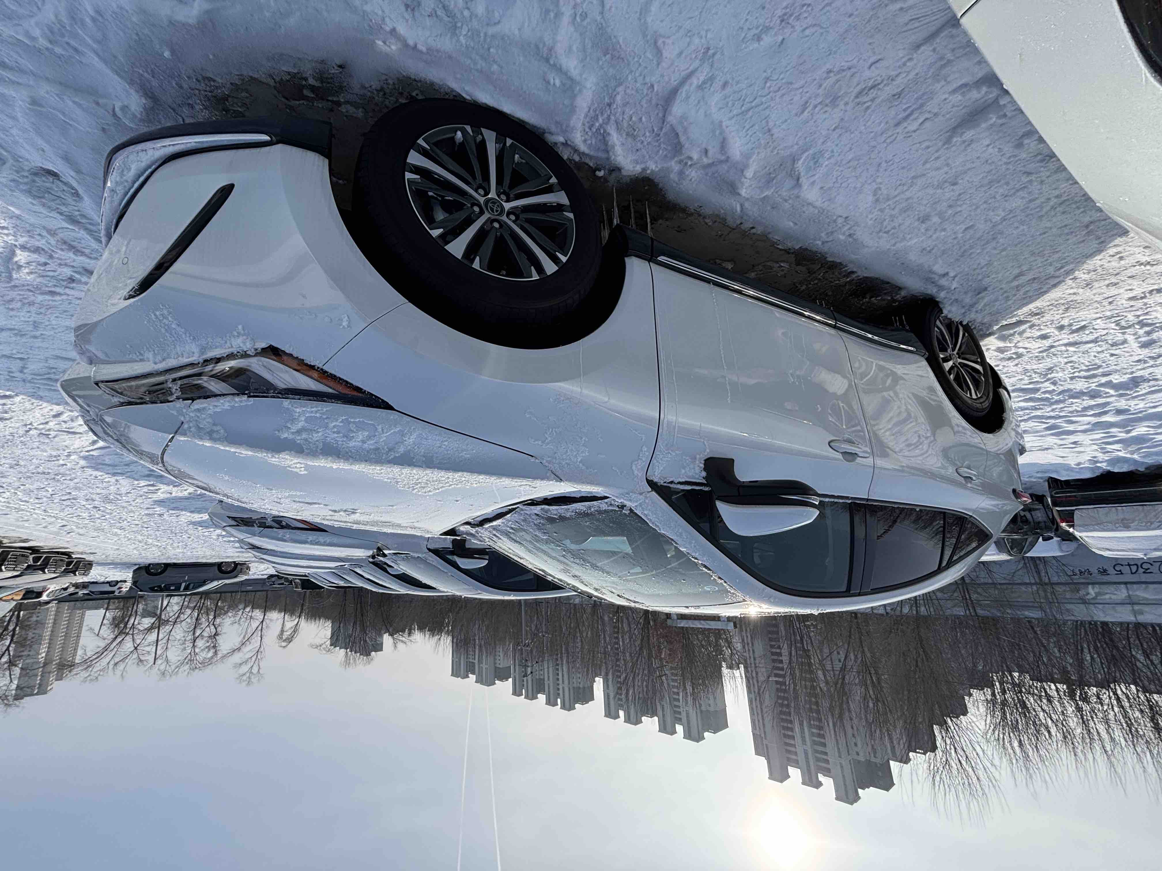 Toyota Venza 2025 immagine di auto #8