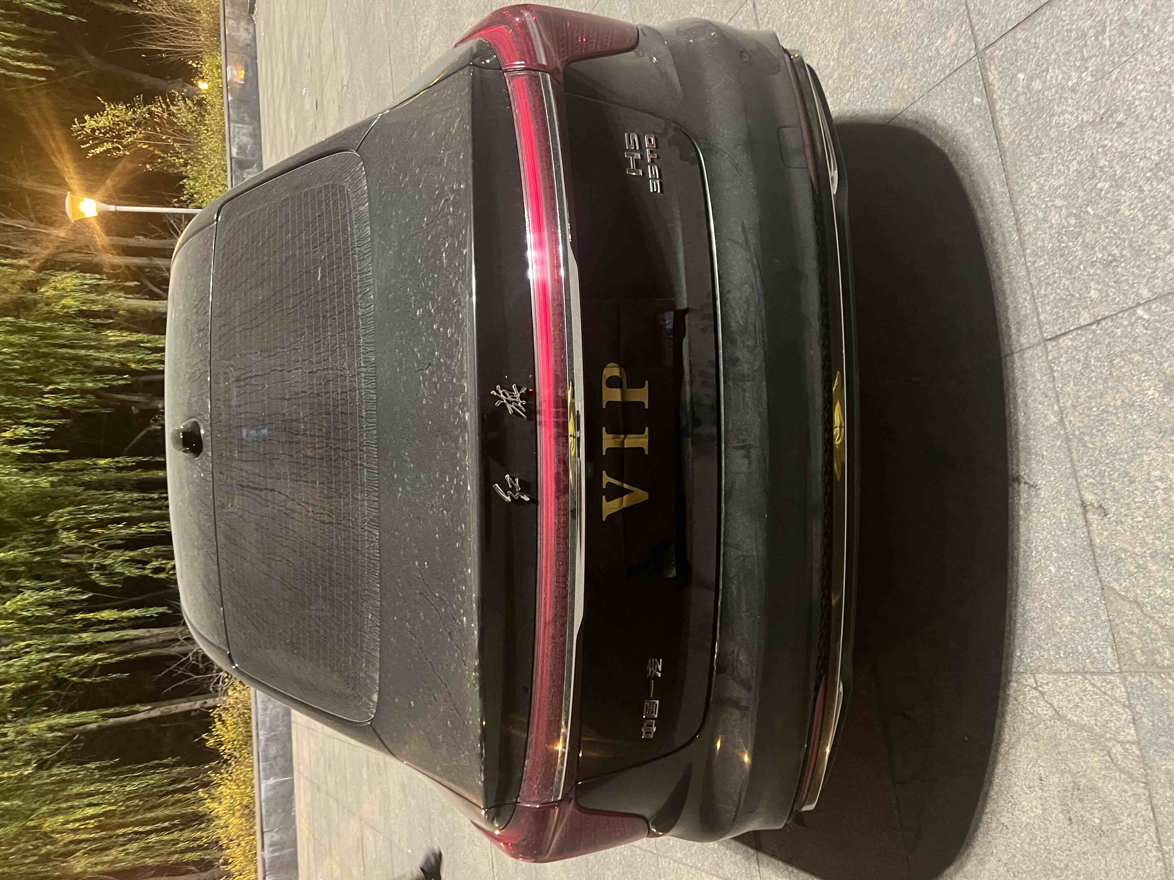 HongQi S9 2024 immagine di auto #8