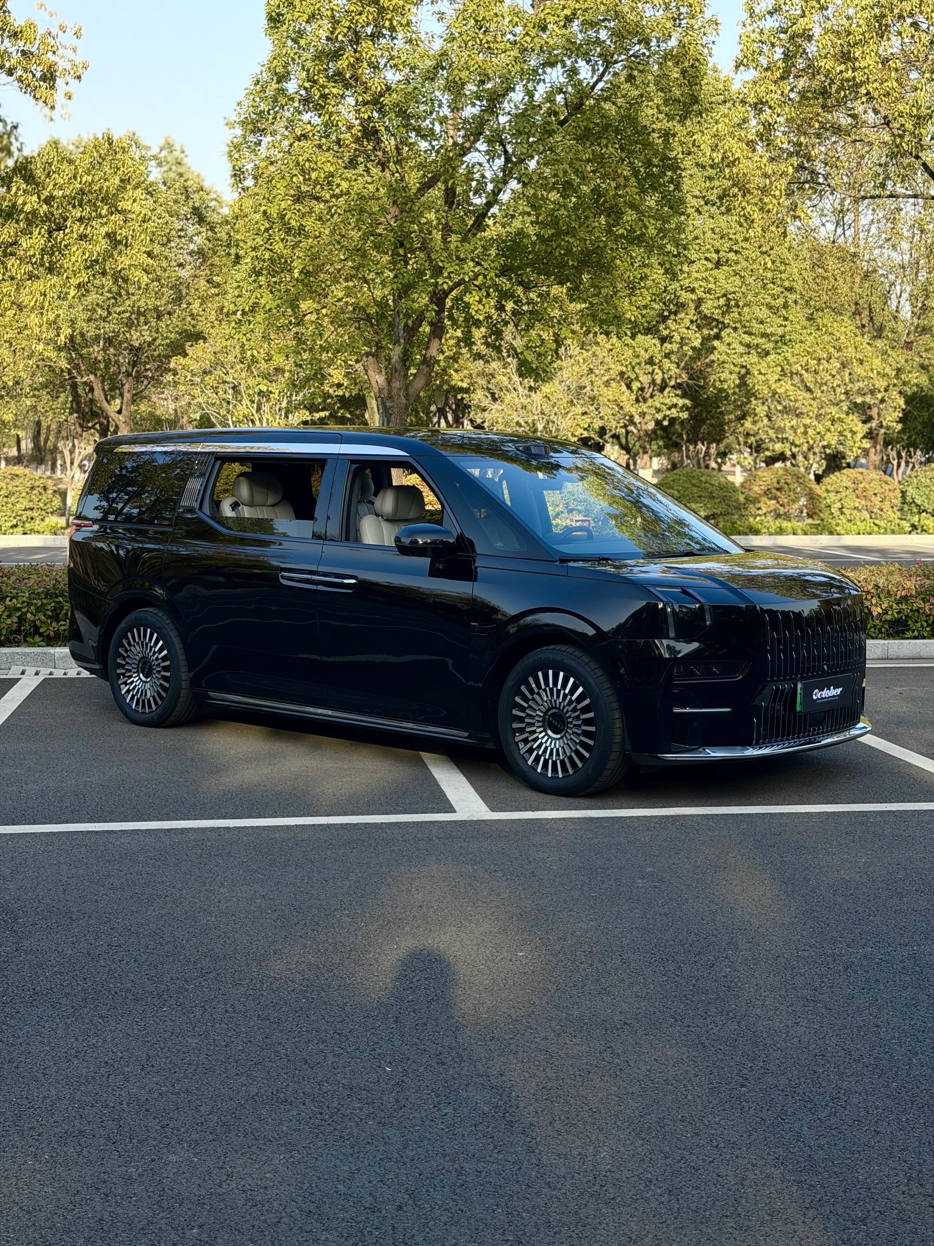 极氪 极氪009 2024 汽车图片 #8