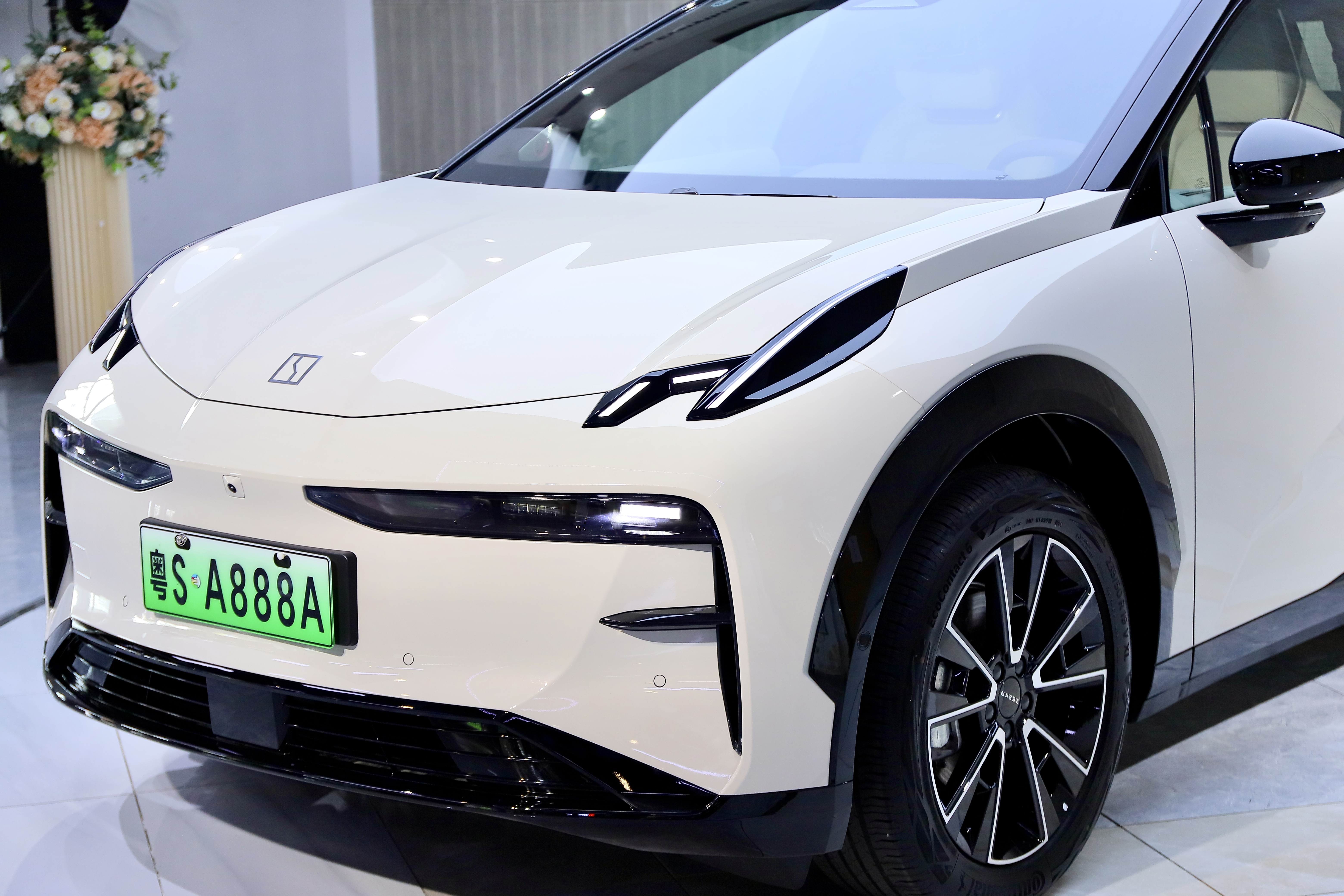 极氪 极氪X 2024 汽车图片 #8