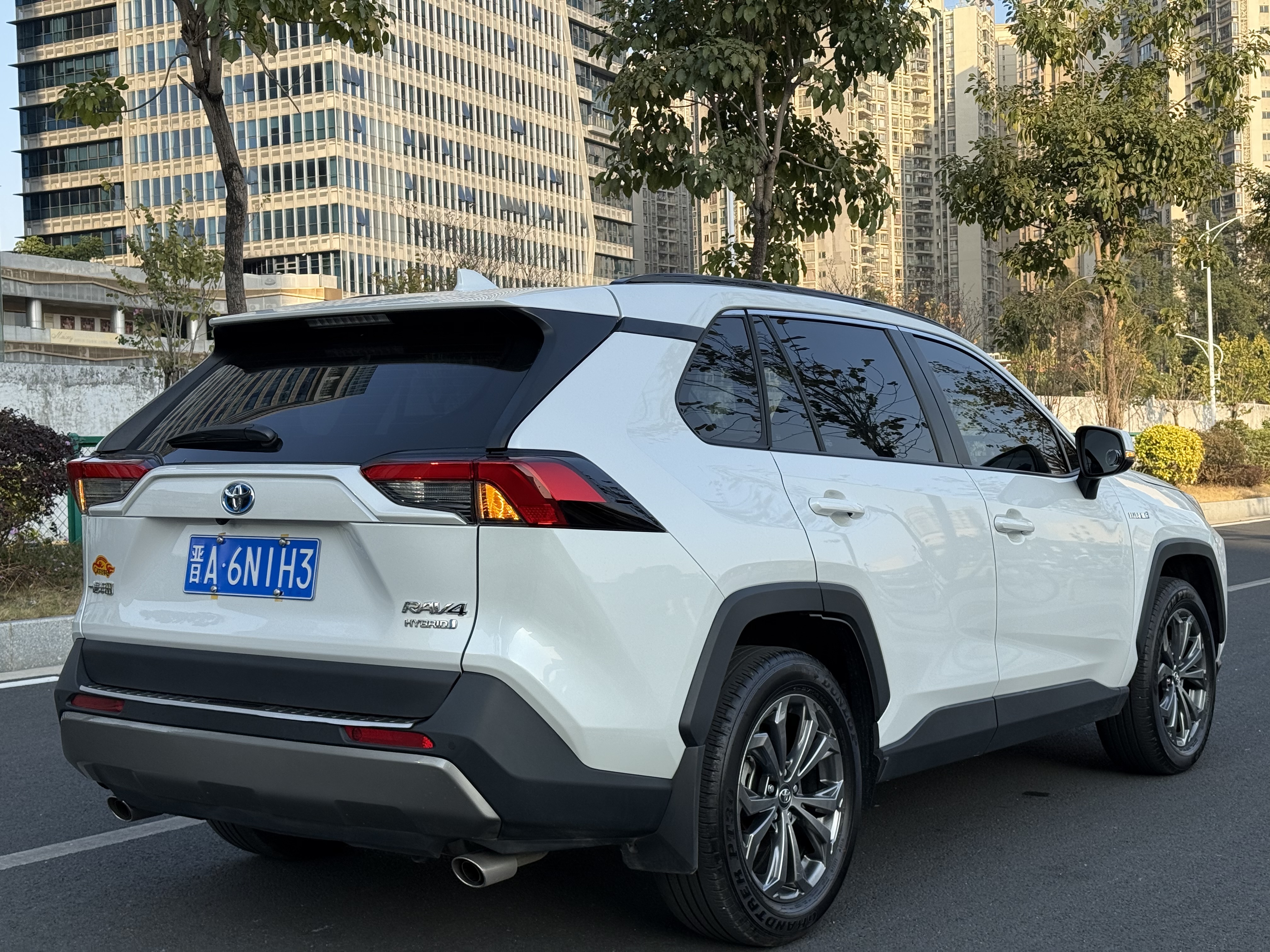 Toyota RAV4 Hybird E+ 2025 immagine di auto #8