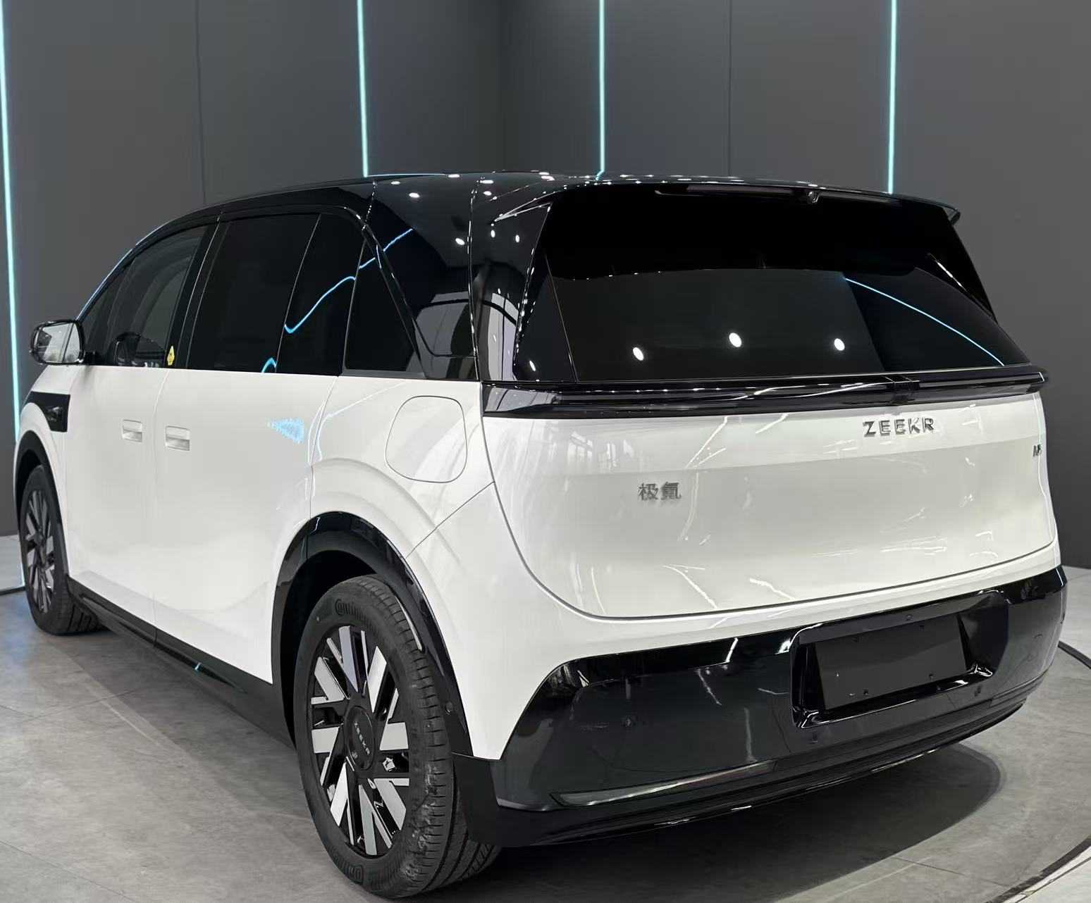 极氪 极氪MIX 2024 汽车图片 #8