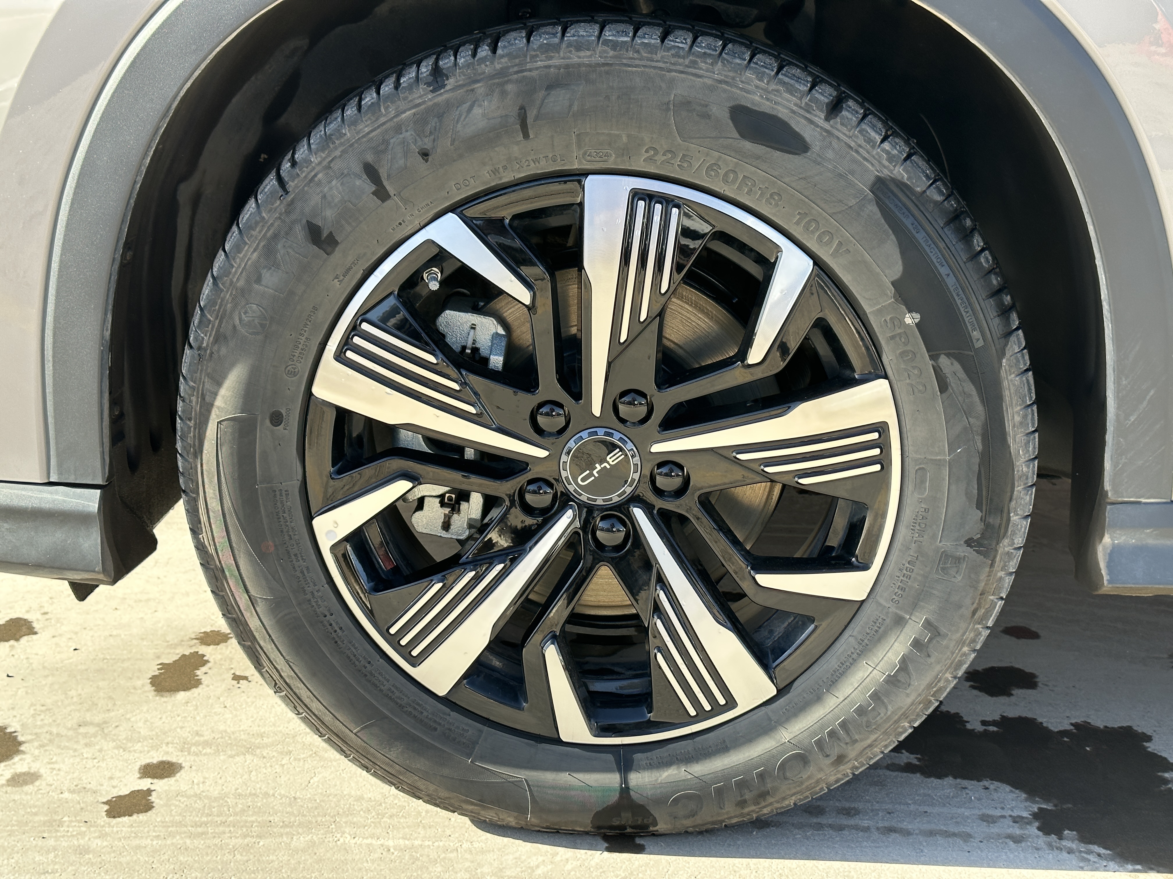 BYD Sea Lion 05 DM-i 2025 image de voiture #8