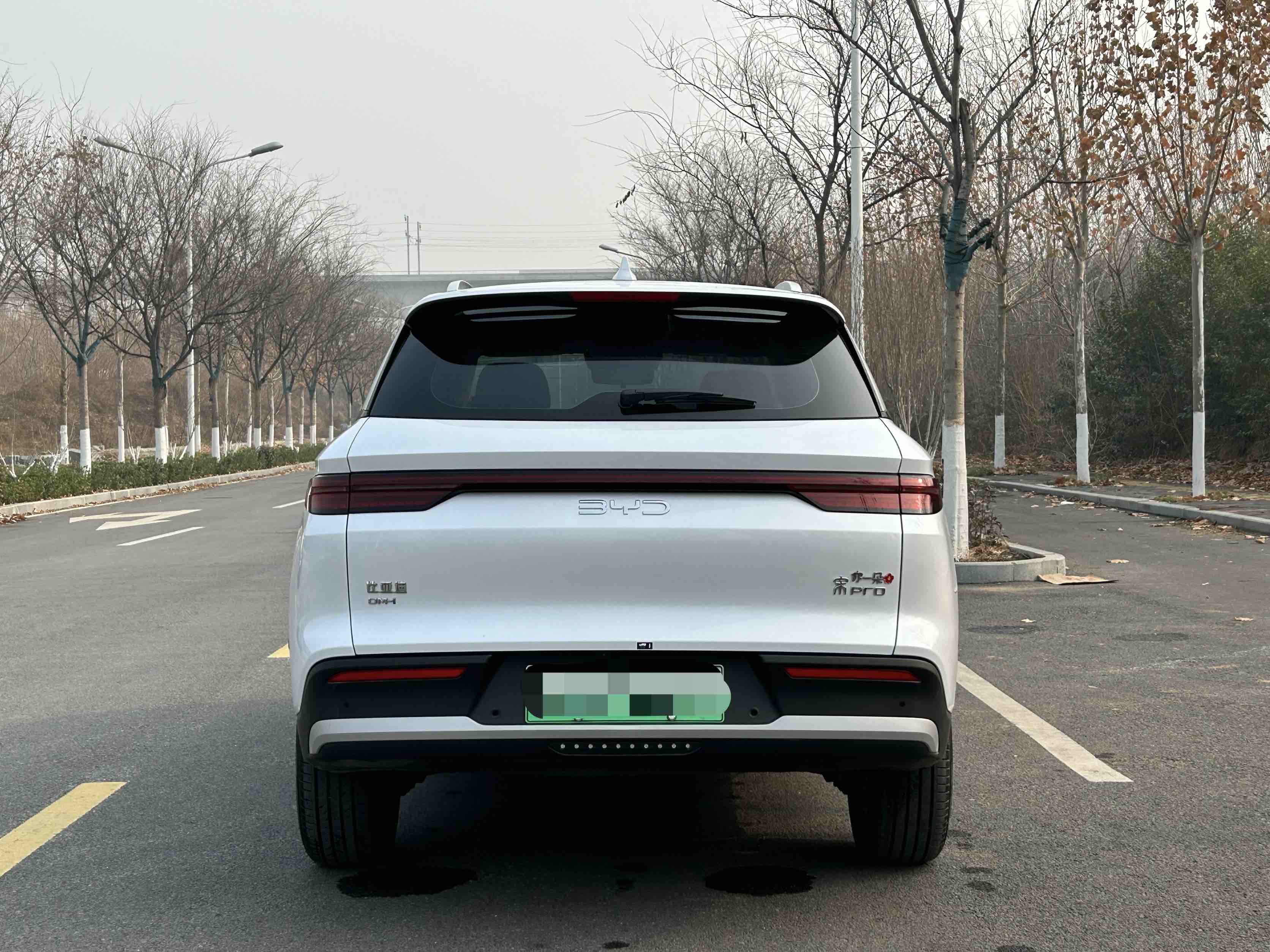 比亚迪 宋Pro新能源 2024 汽车图片 #8