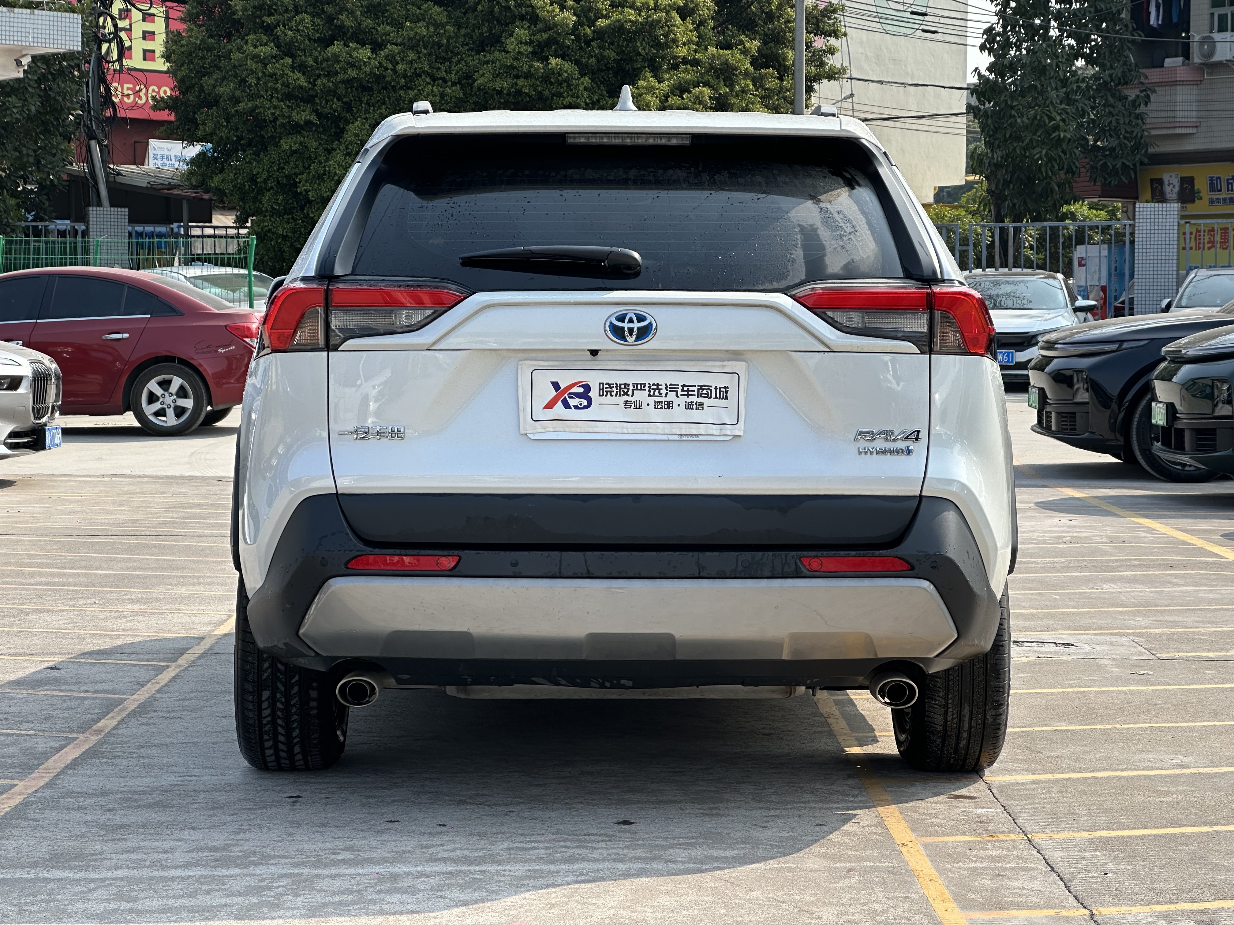 Toyota RAV4 2024 car image #8