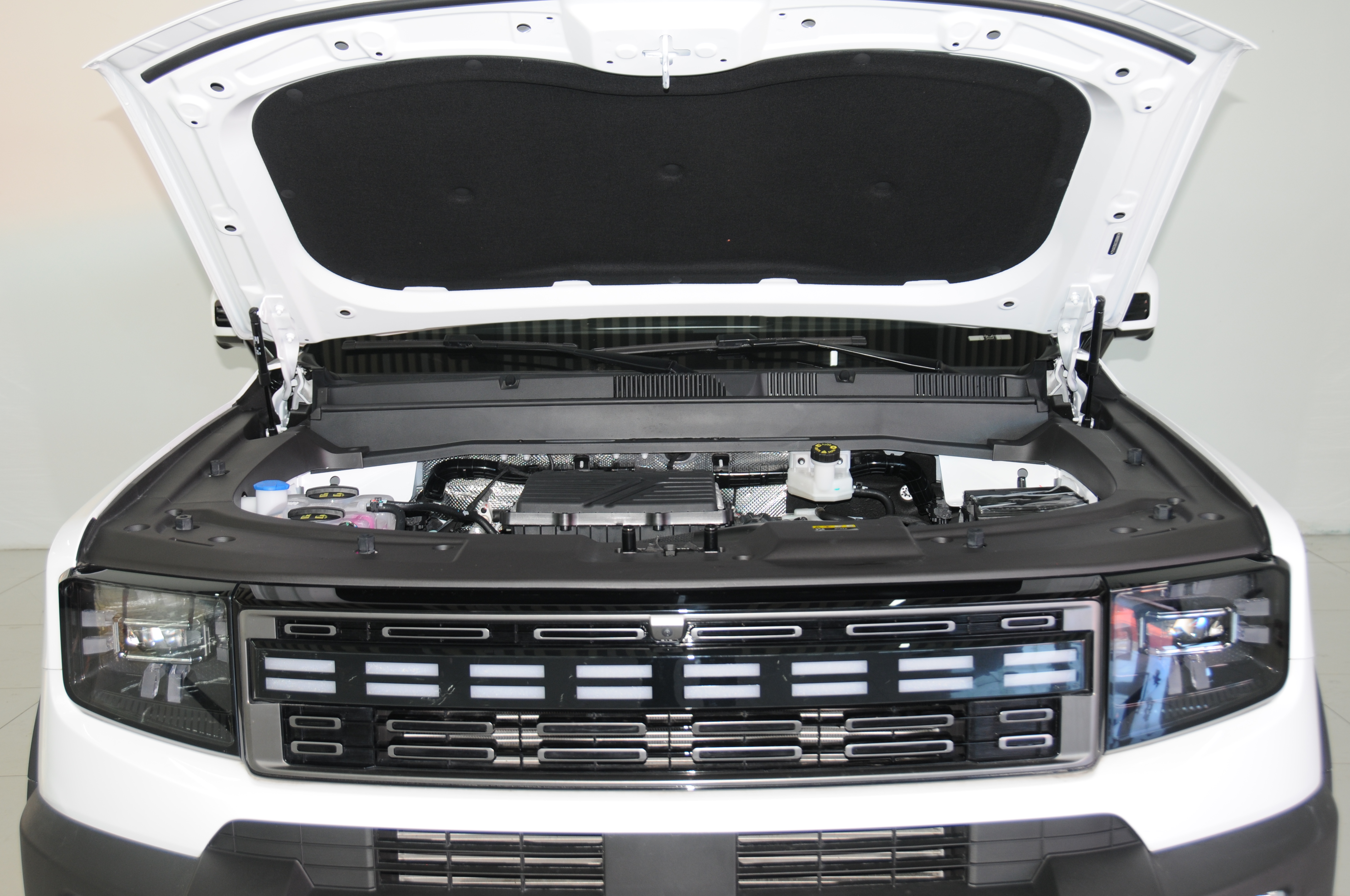 Jetour Shanhai T1 2024 immagine di auto #8