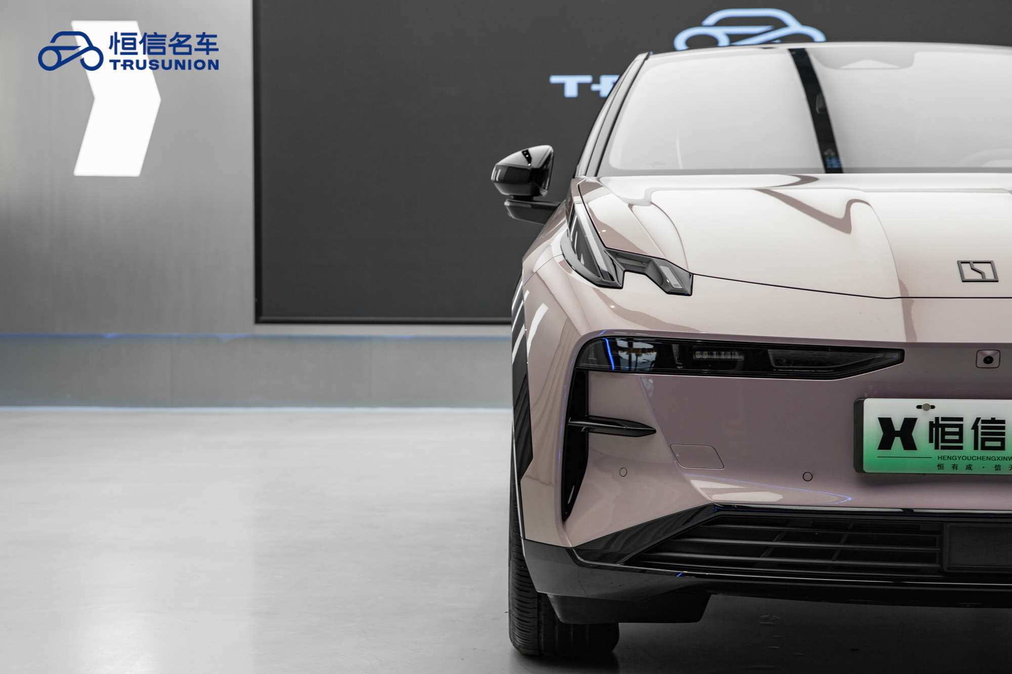 极氪 极氪X 2024 汽车图片 #8