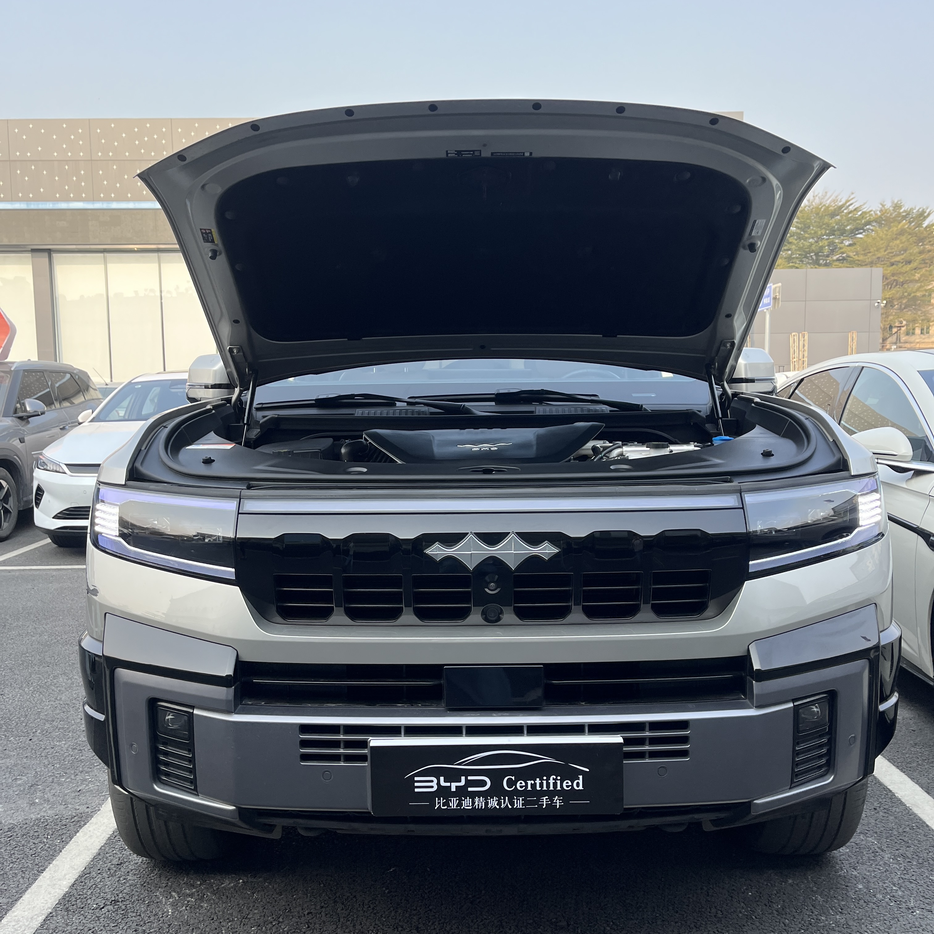 FangChengBao Leopard 8 2024 #8 FangChengBao Leopard 8 2024 immagine di auto #8