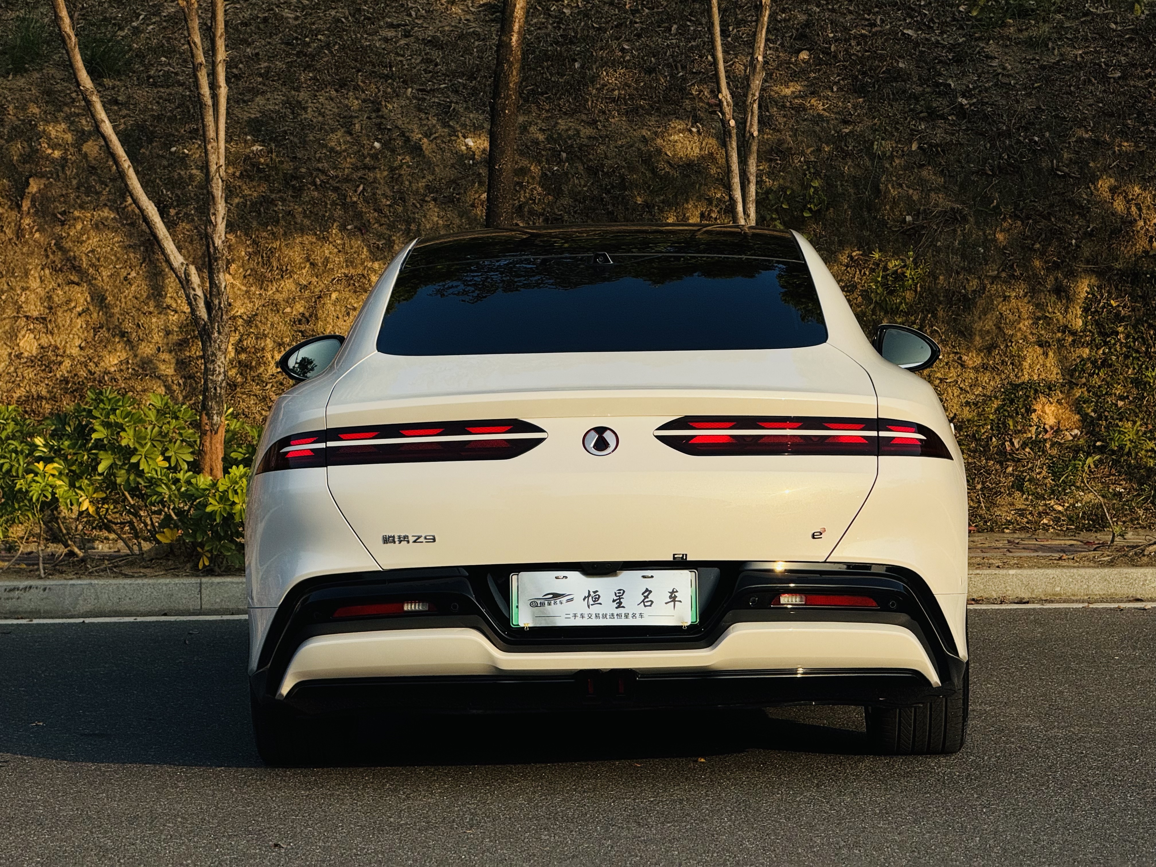 Denza Z9 2025 car image #8