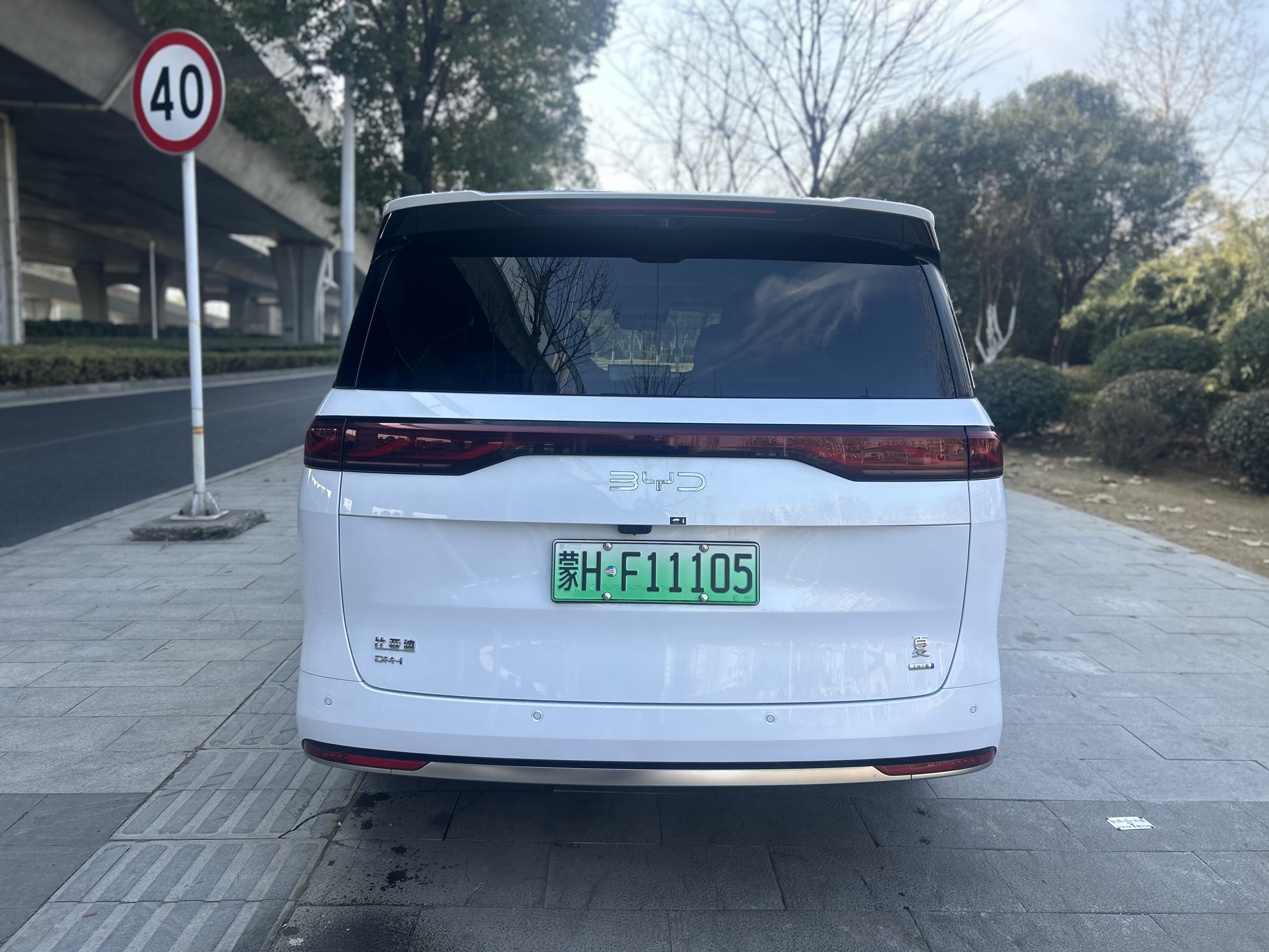 BYD Xia 2025 imagen de coche #8