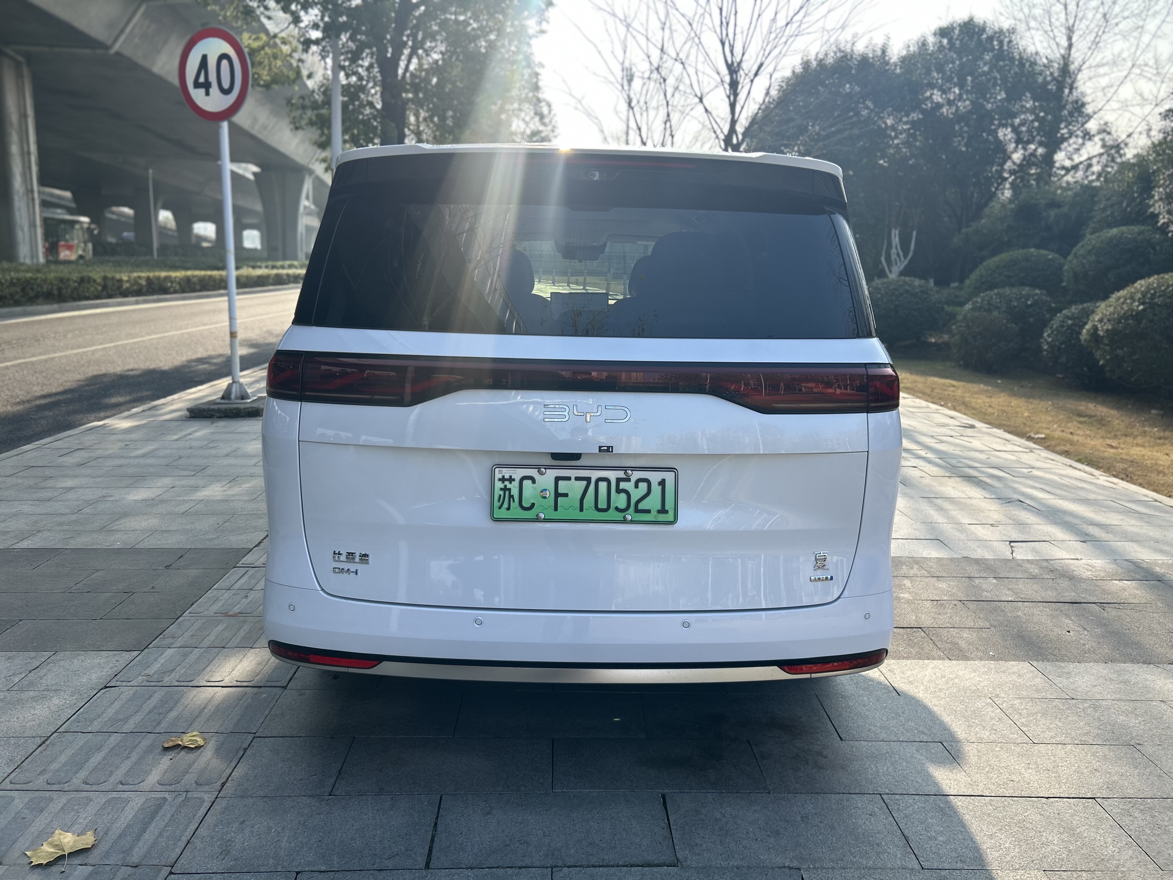 BYD Xia 2025 imagen de coche #8