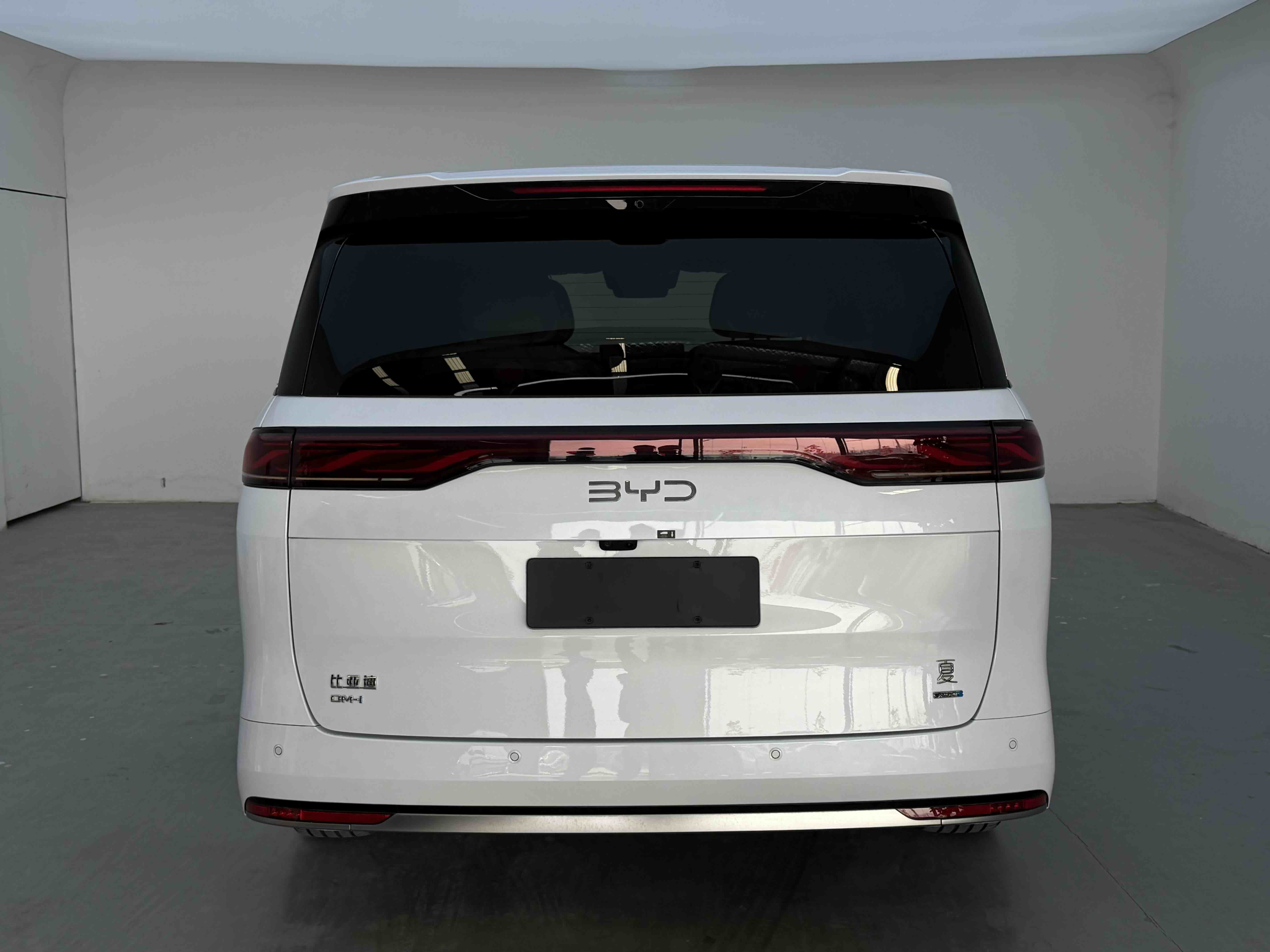 BYD Xia 2025 imagen de coche #8