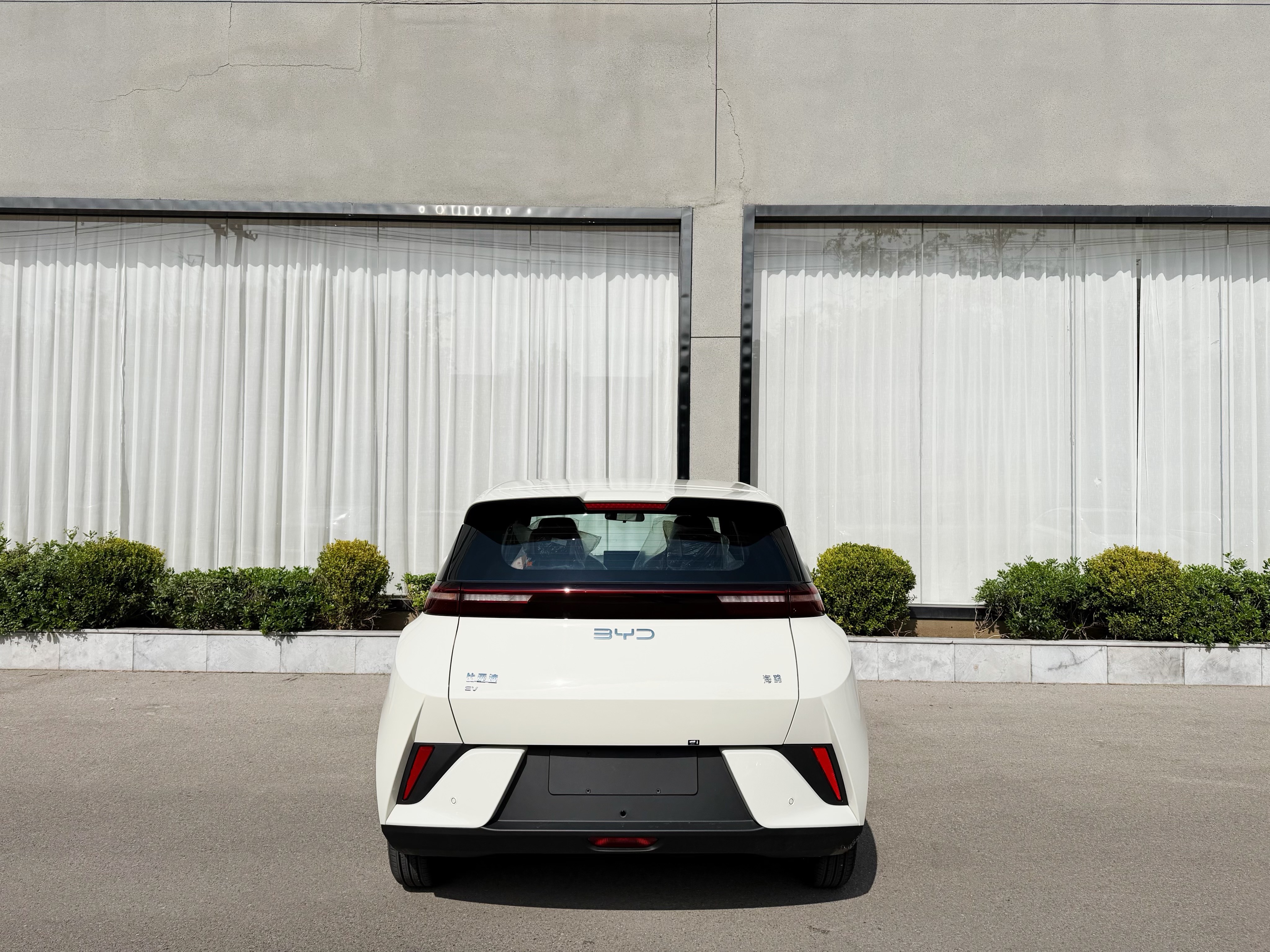 BYD Seagull 2025 car image #8