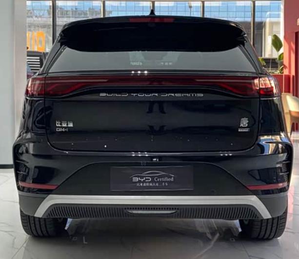 BYD Tang New Energy 2025 car image #8