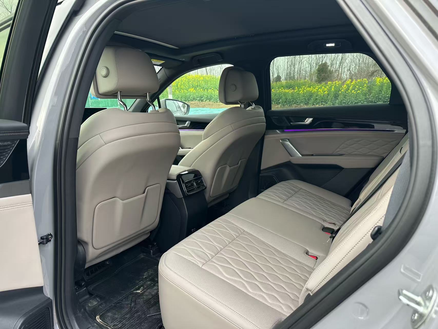 BYD Tang New Energy 2025 car image #8