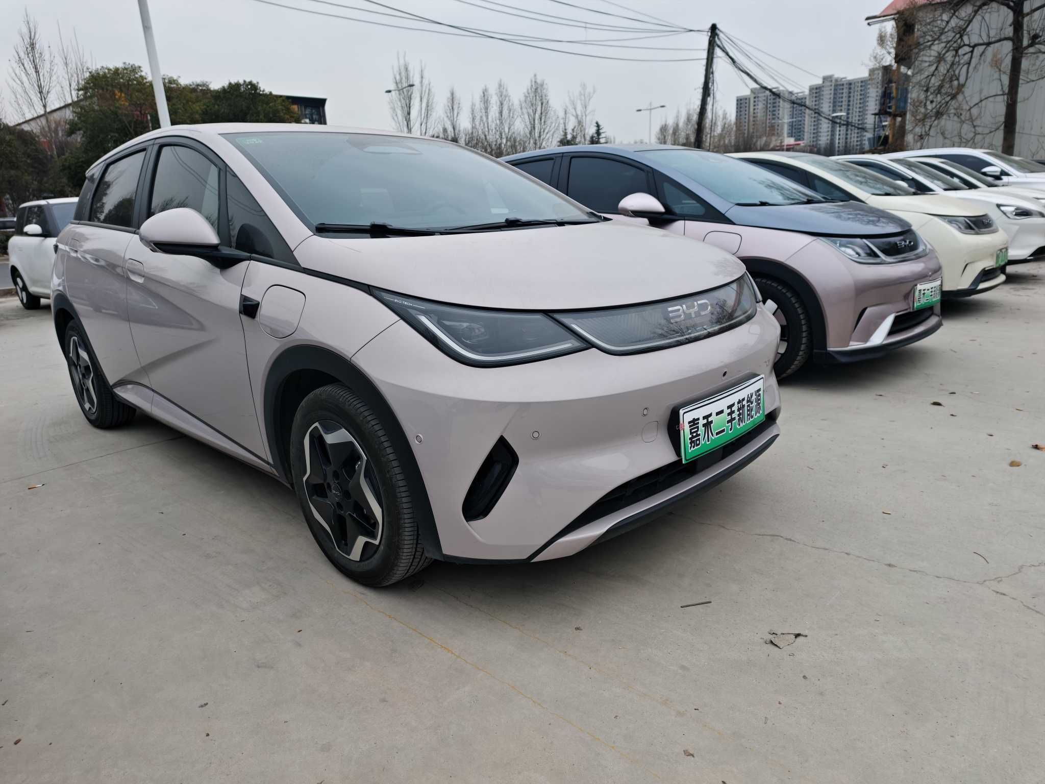 BYD Dolphin 2025 car image #8
