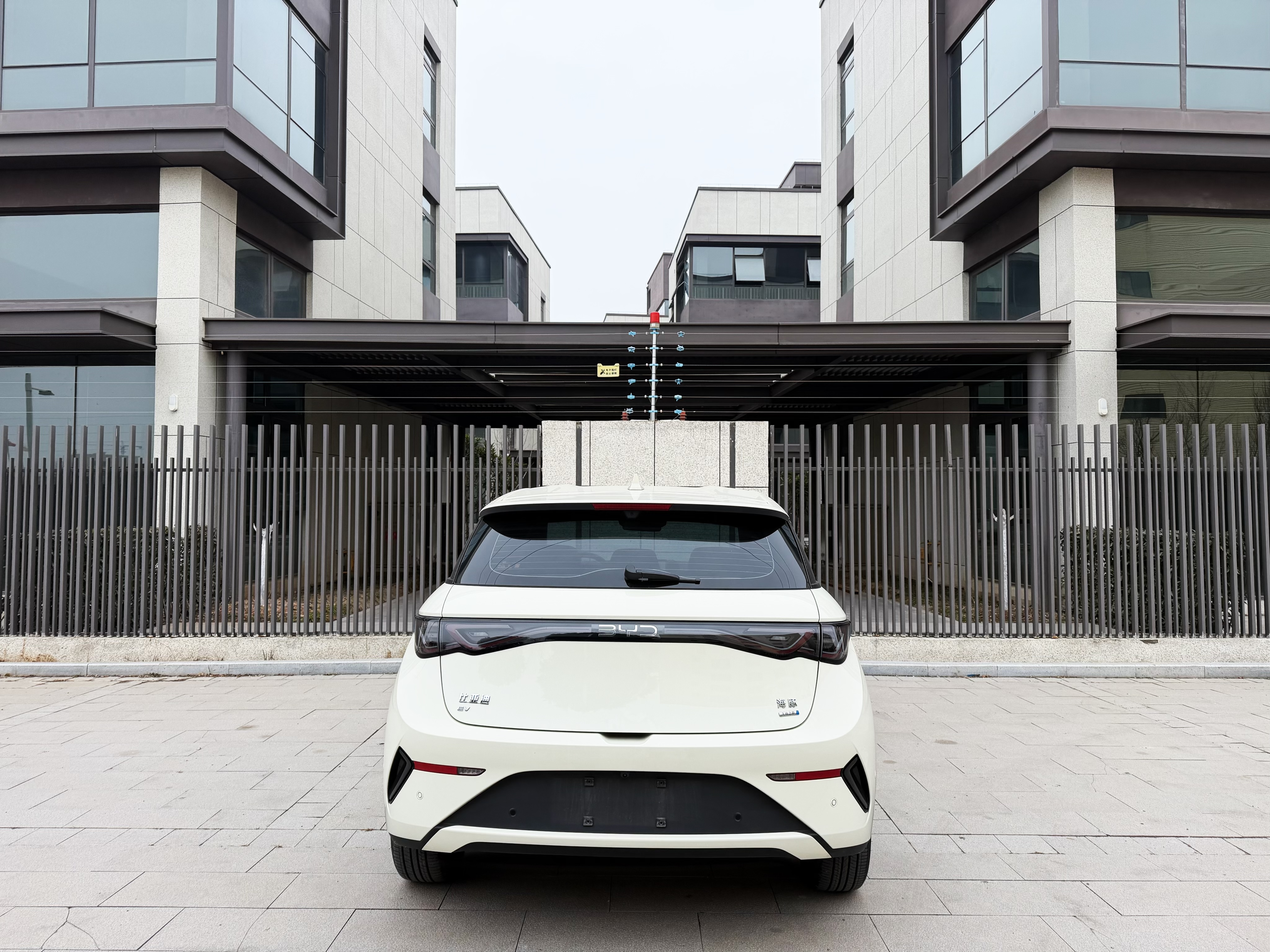 BYD Dolphin 2025 car image #8