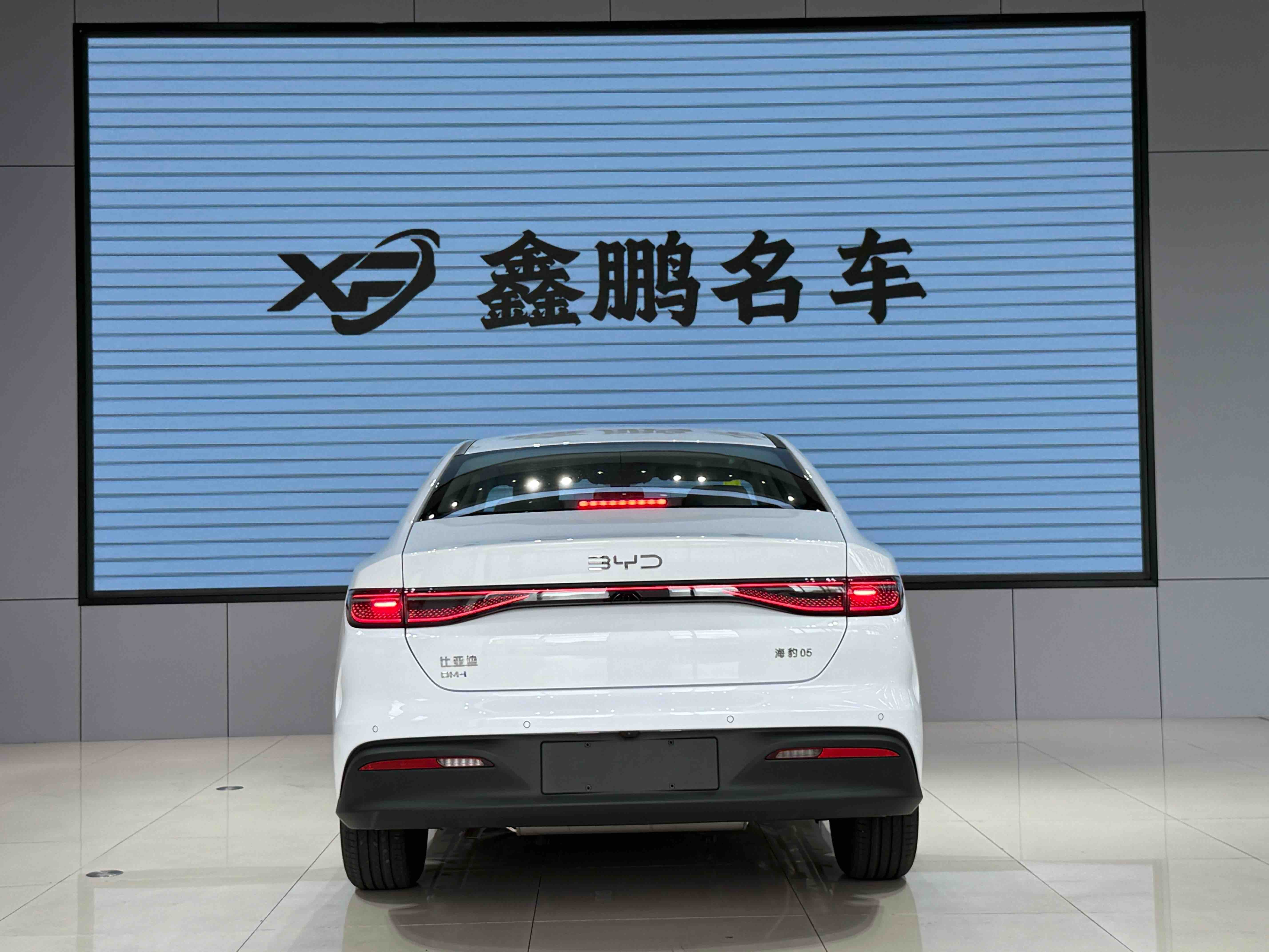 BYD Seal 05 DM-i 2025 immagine di auto #8