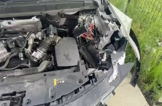 Haval Fierce Dragon MAX 2025 car image #8