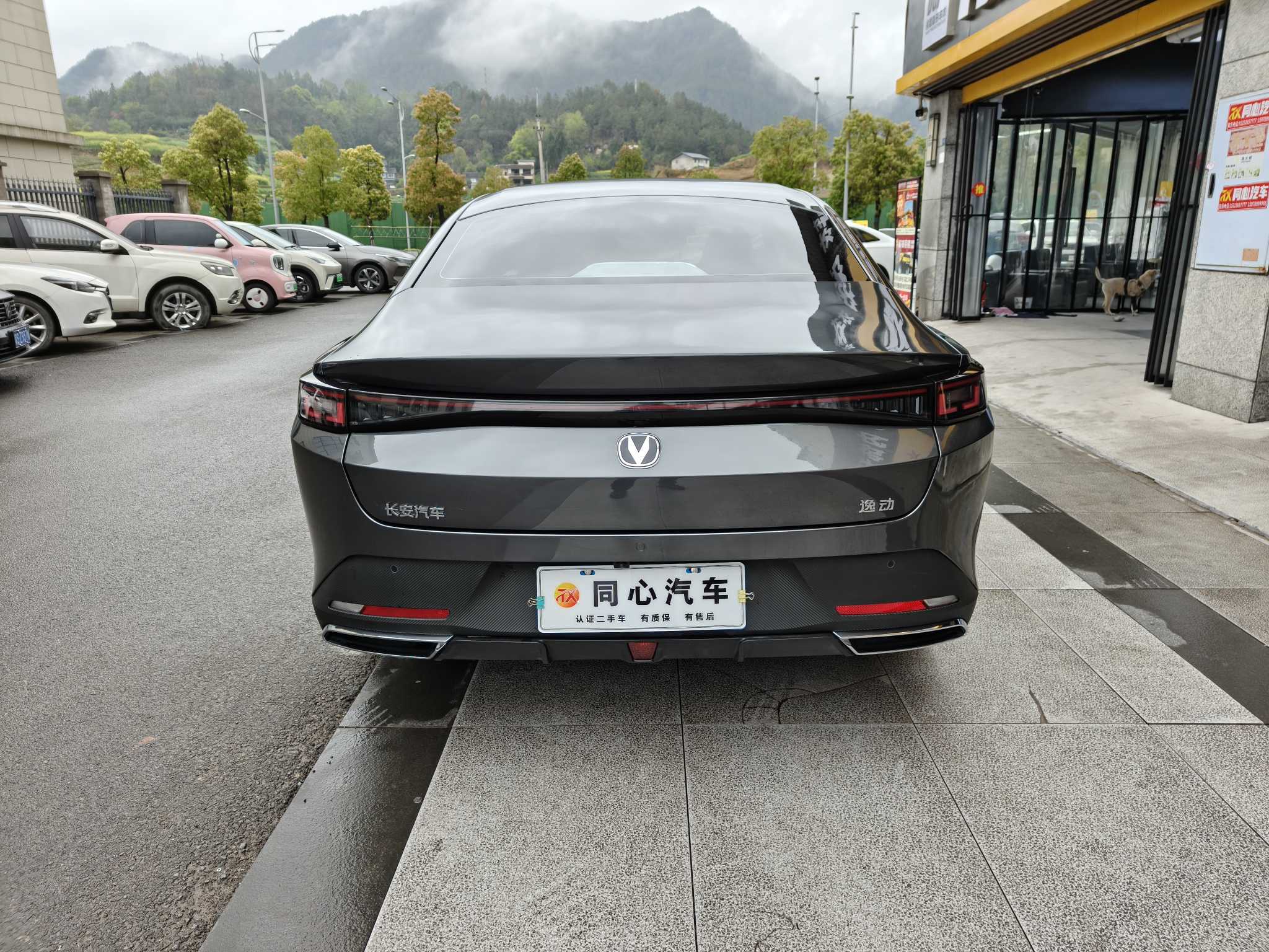 Changan Eado 2025 immagine di auto #8