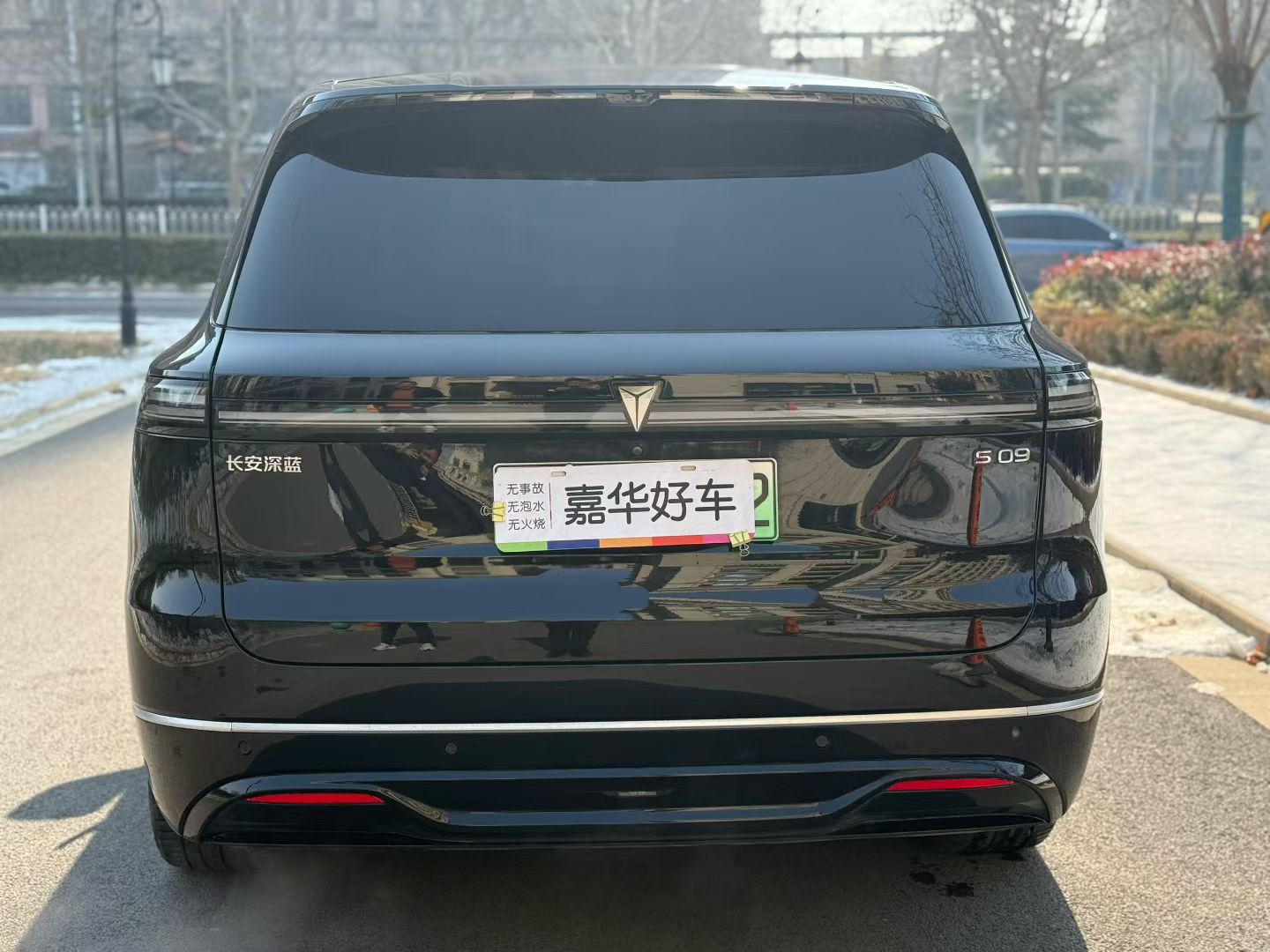 Deepal S09 2025 #8 Deepal S09 2025 car image #8