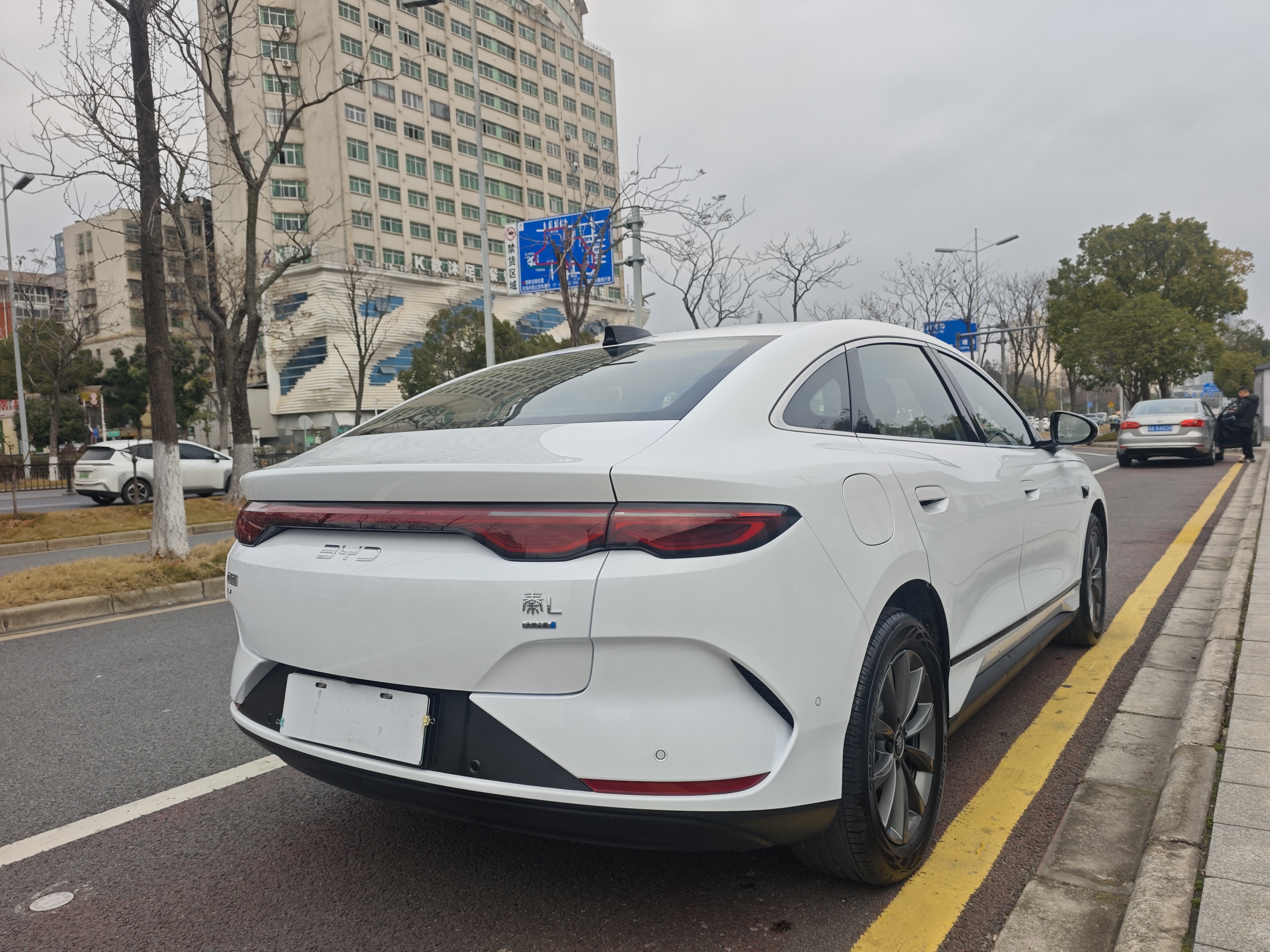 BYD Qin L 2025 immagine di auto #8