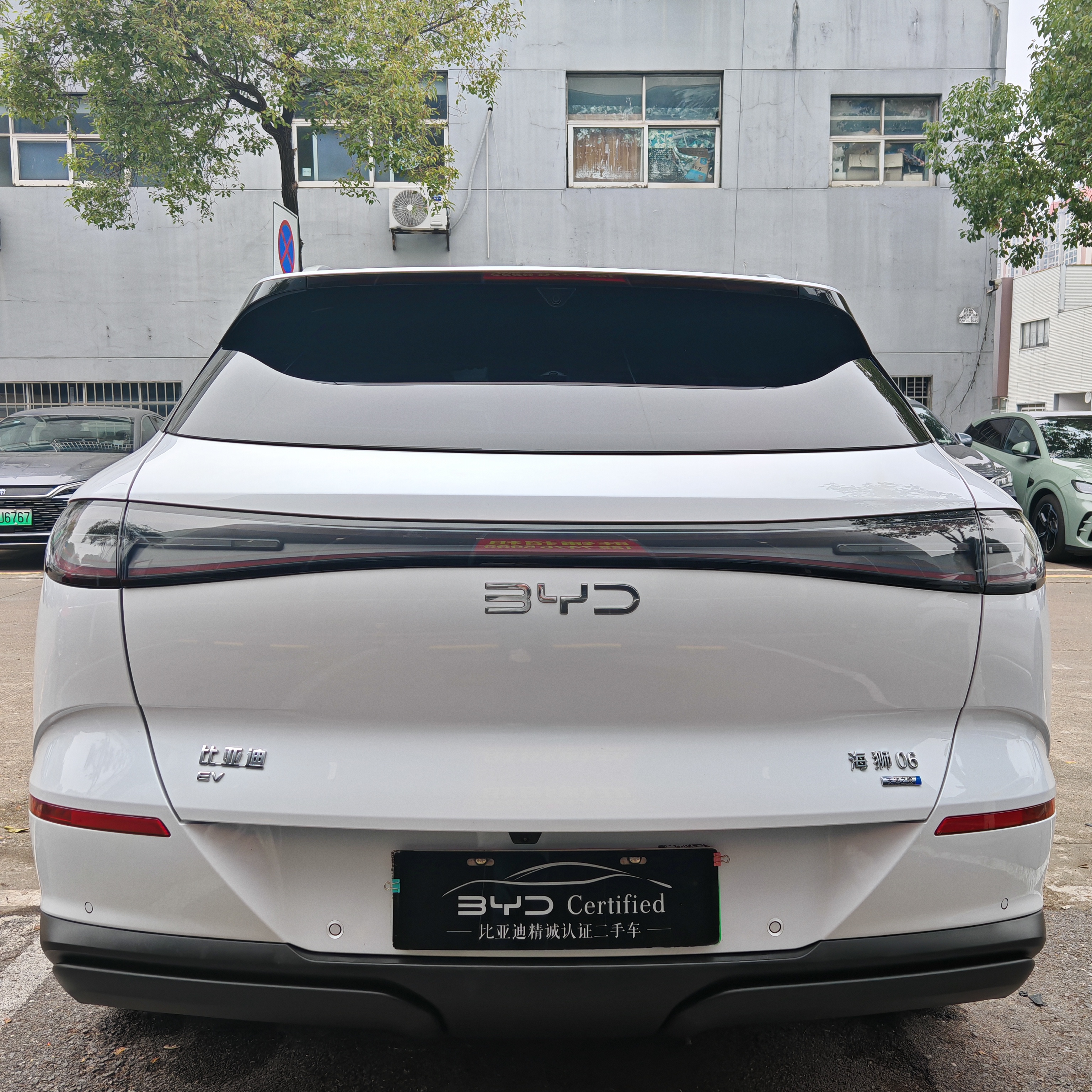 BYD Sea Lion 06 New Energy 2025 car image #8