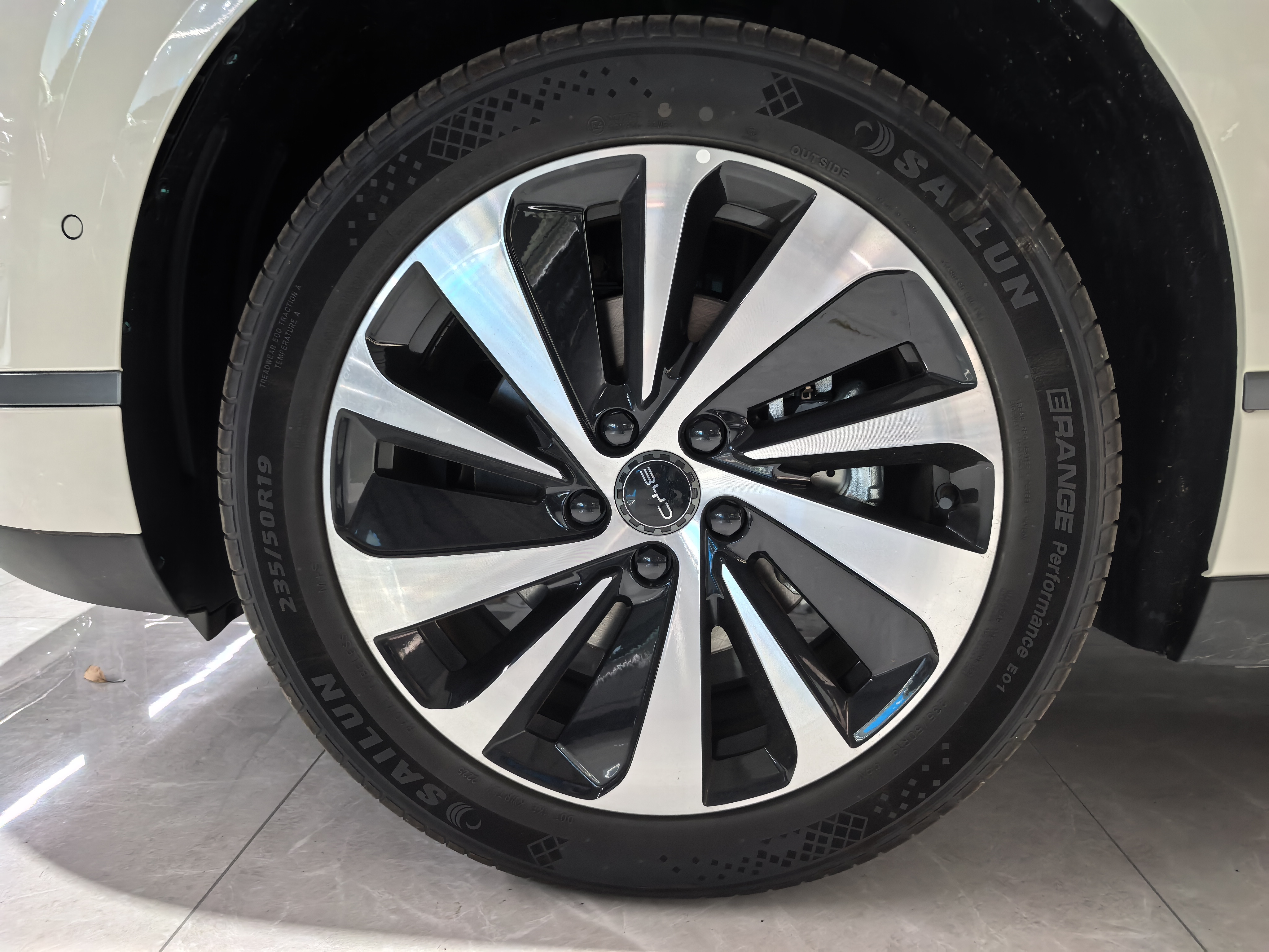 BYD Sea Lion 06 New Energy 2025 car image #8