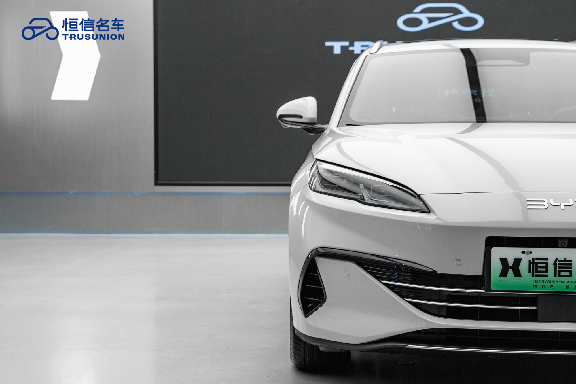 BYD Seal 06 DM-i 2025 car image #8