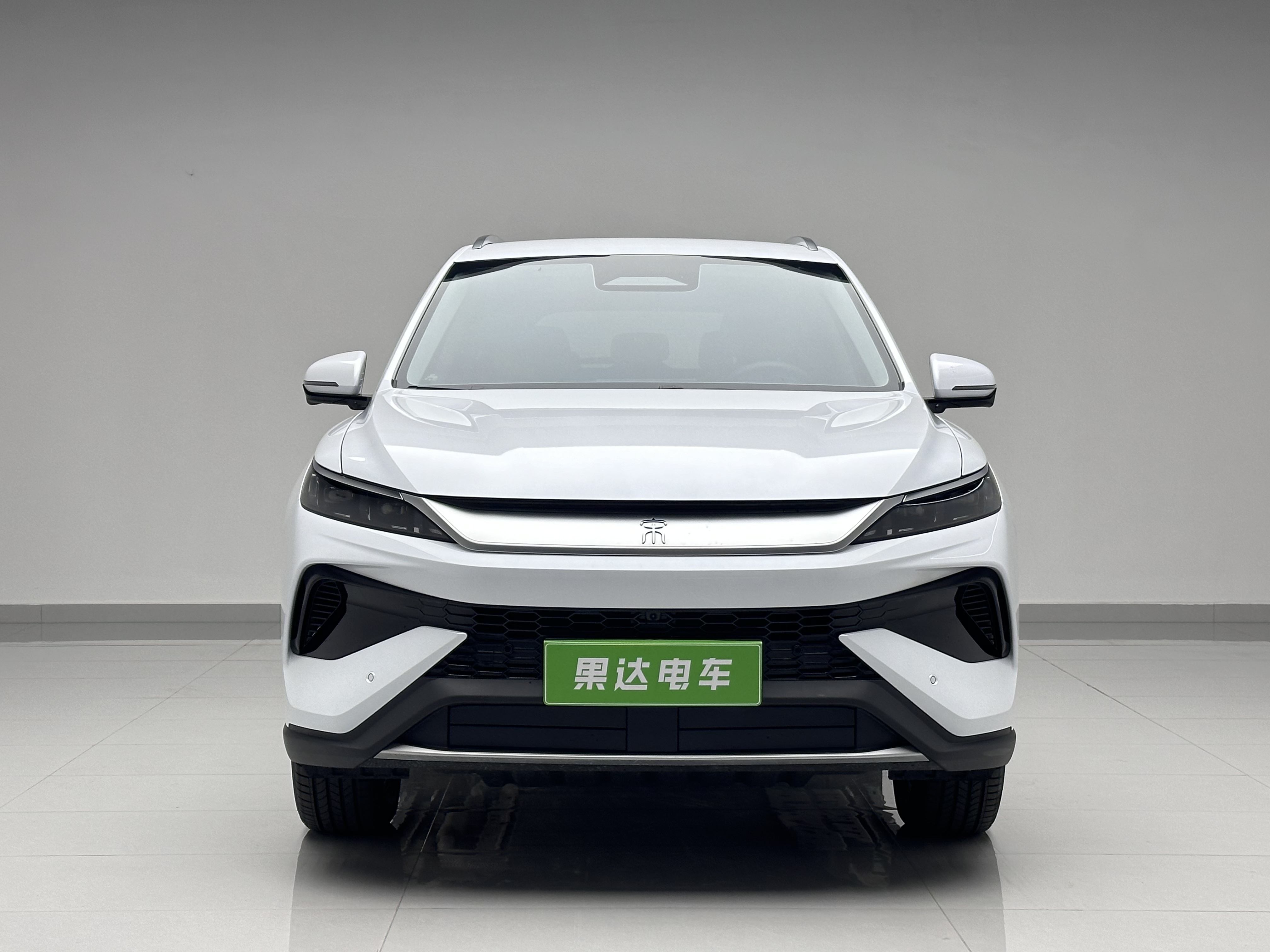 BYD Song Pro New Energy 2025 car image #8