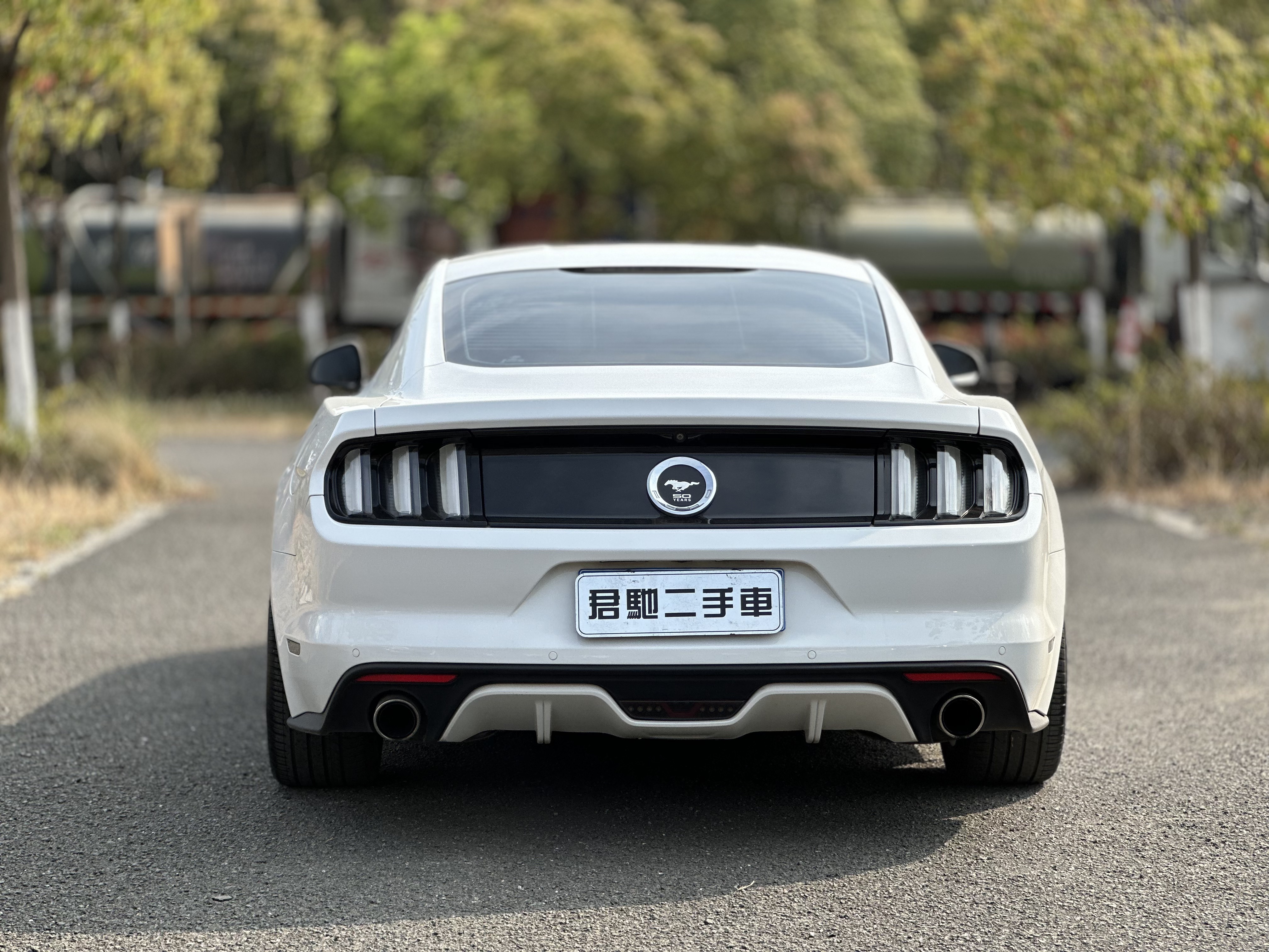 Ford Mustang 2015 car image #8