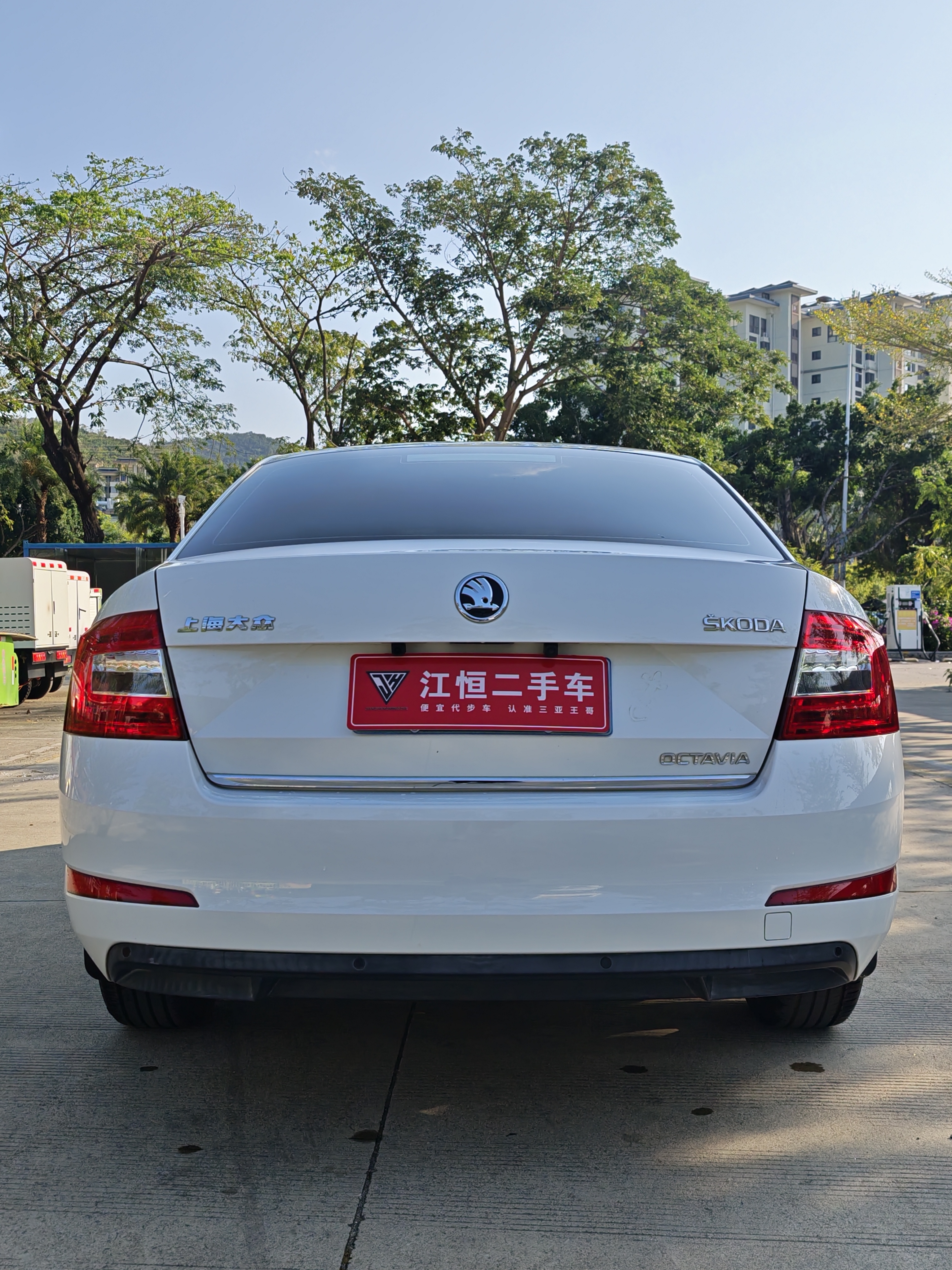 Skoda Octavia 2015 immagine di auto #8