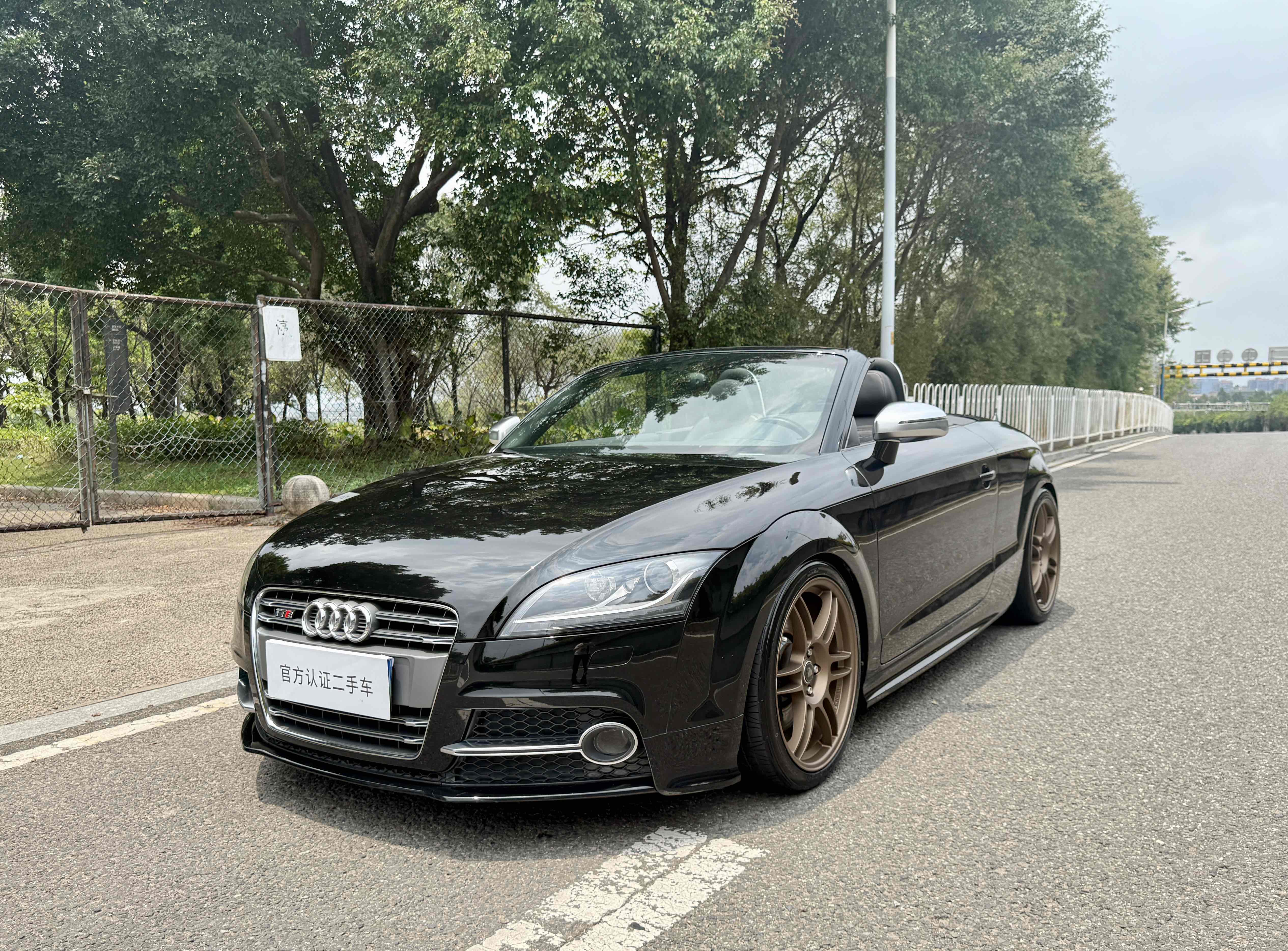 Audi TTS 2011 car image #8