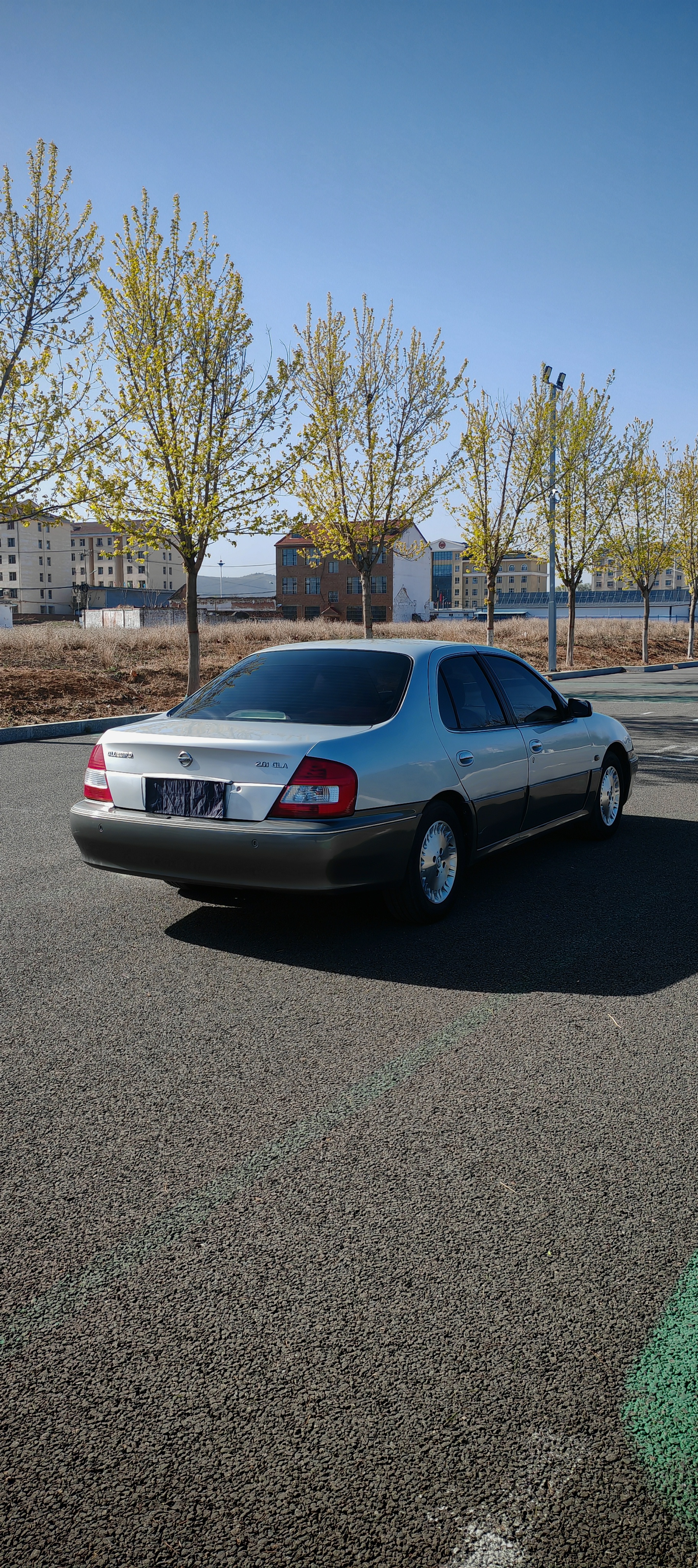 日产 蓝鸟经典 2004 汽车图片 #8