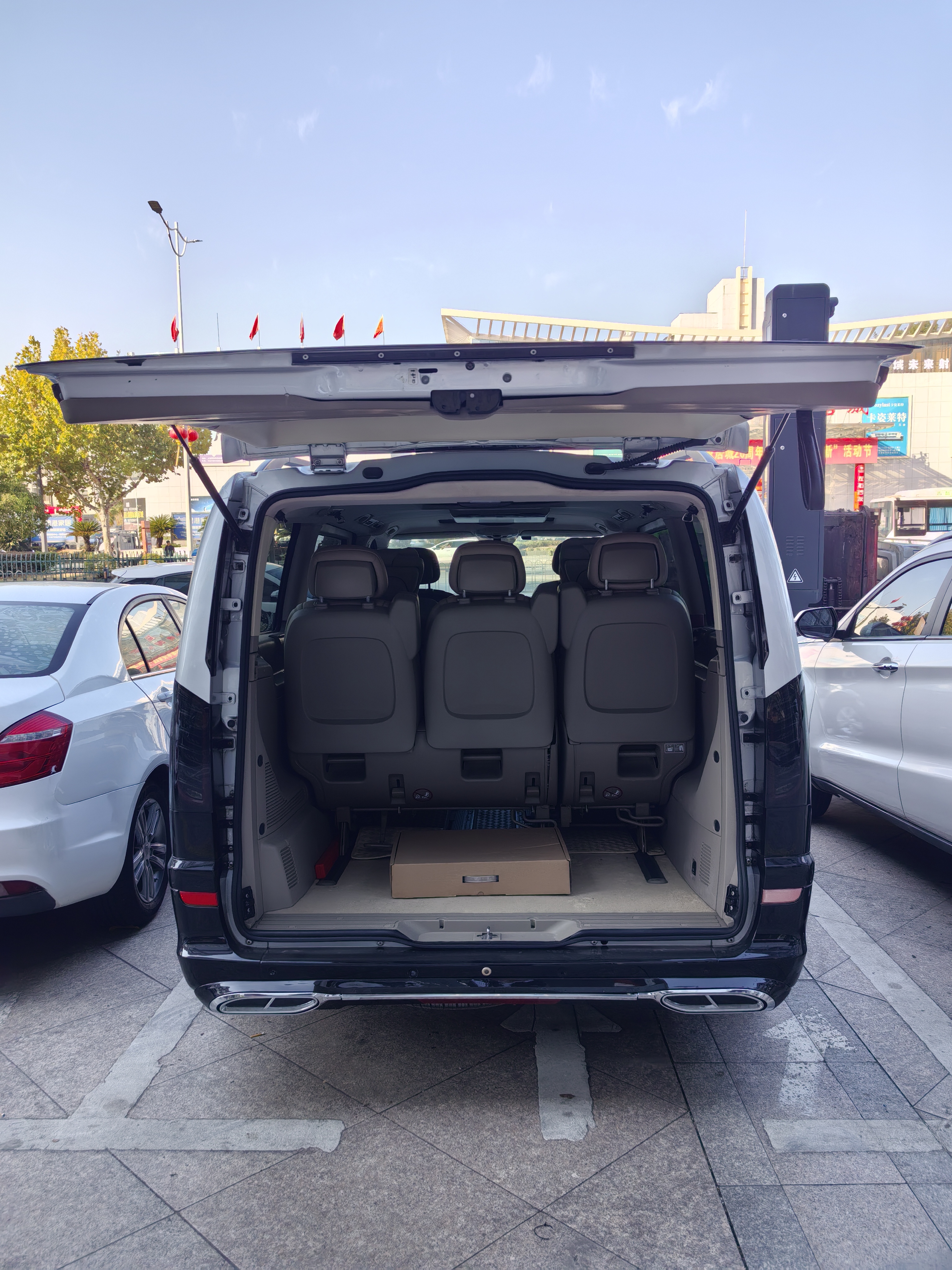 奔驰 唯雅诺 2010 汽车图片 #8