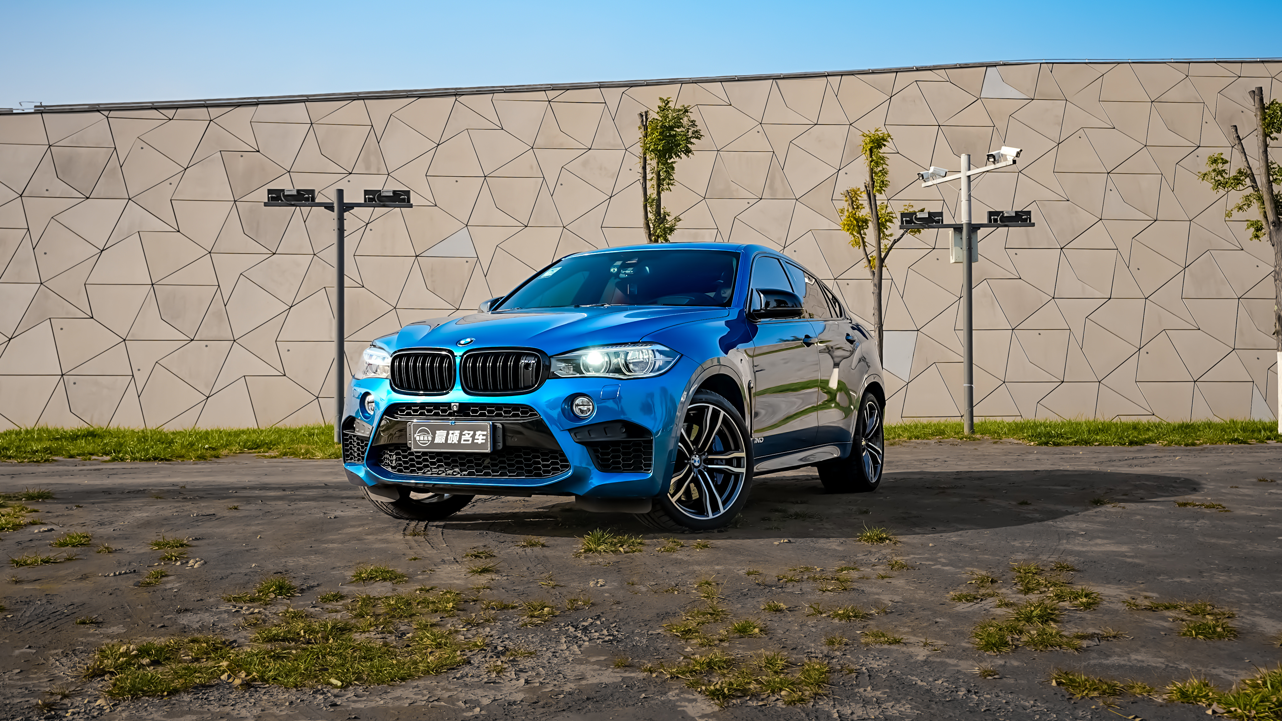 BMW X6 M 2016 car image #8