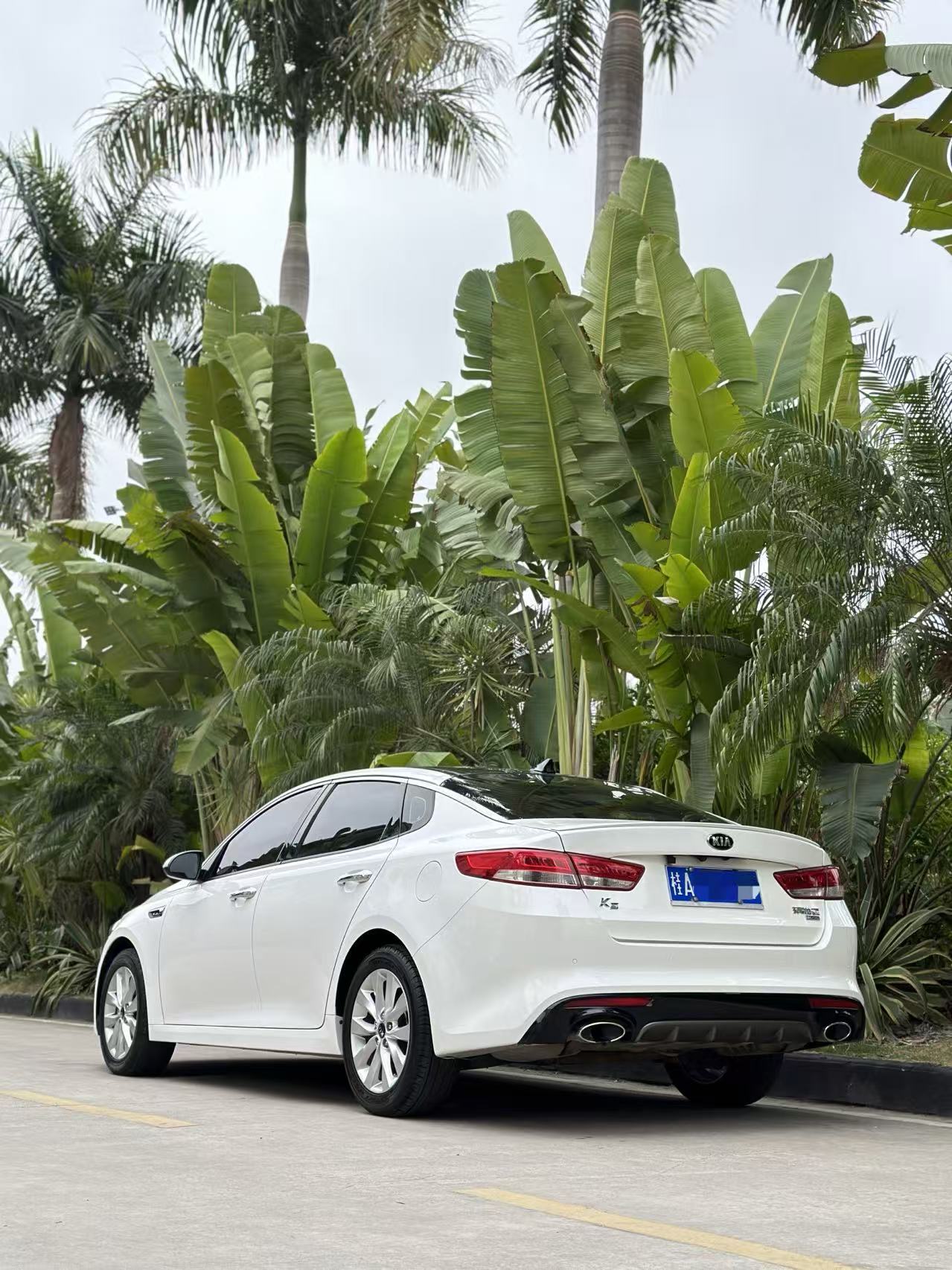 起亚 起亚K5 2016 汽车图片 #8