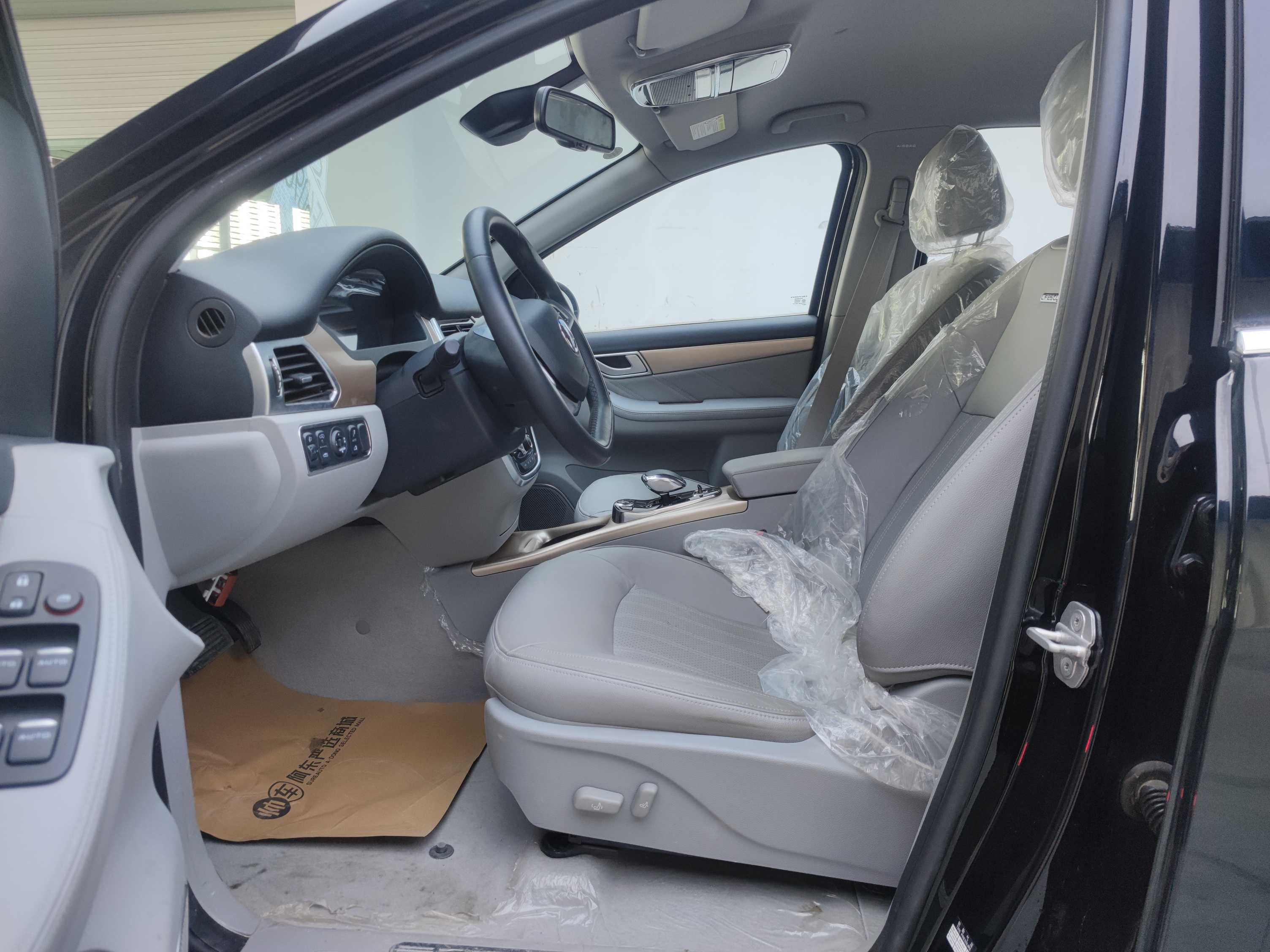 Denza DENZA 2019 car image #8