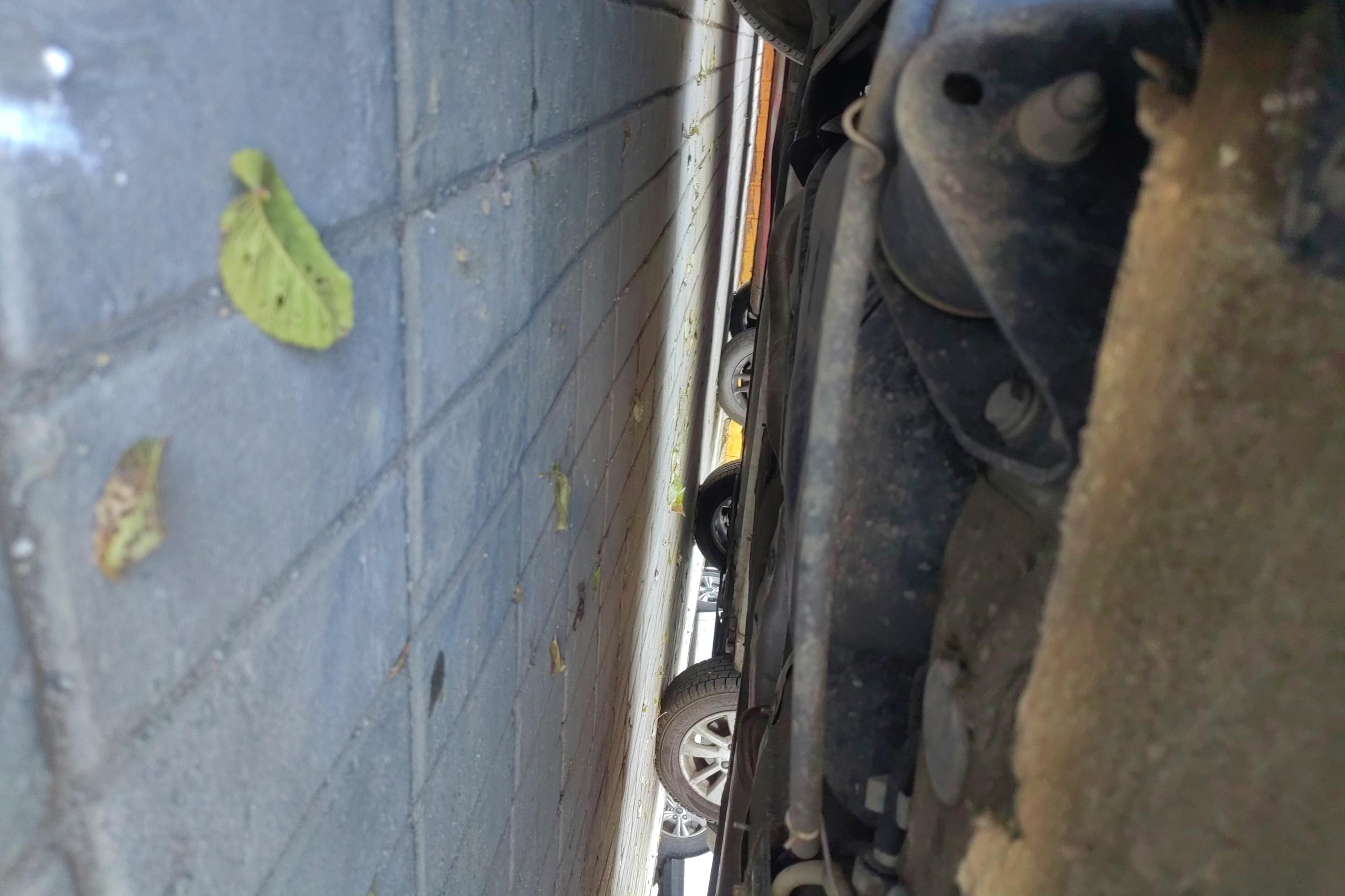 Skoda Rapid Spaceback 2021 car image #8