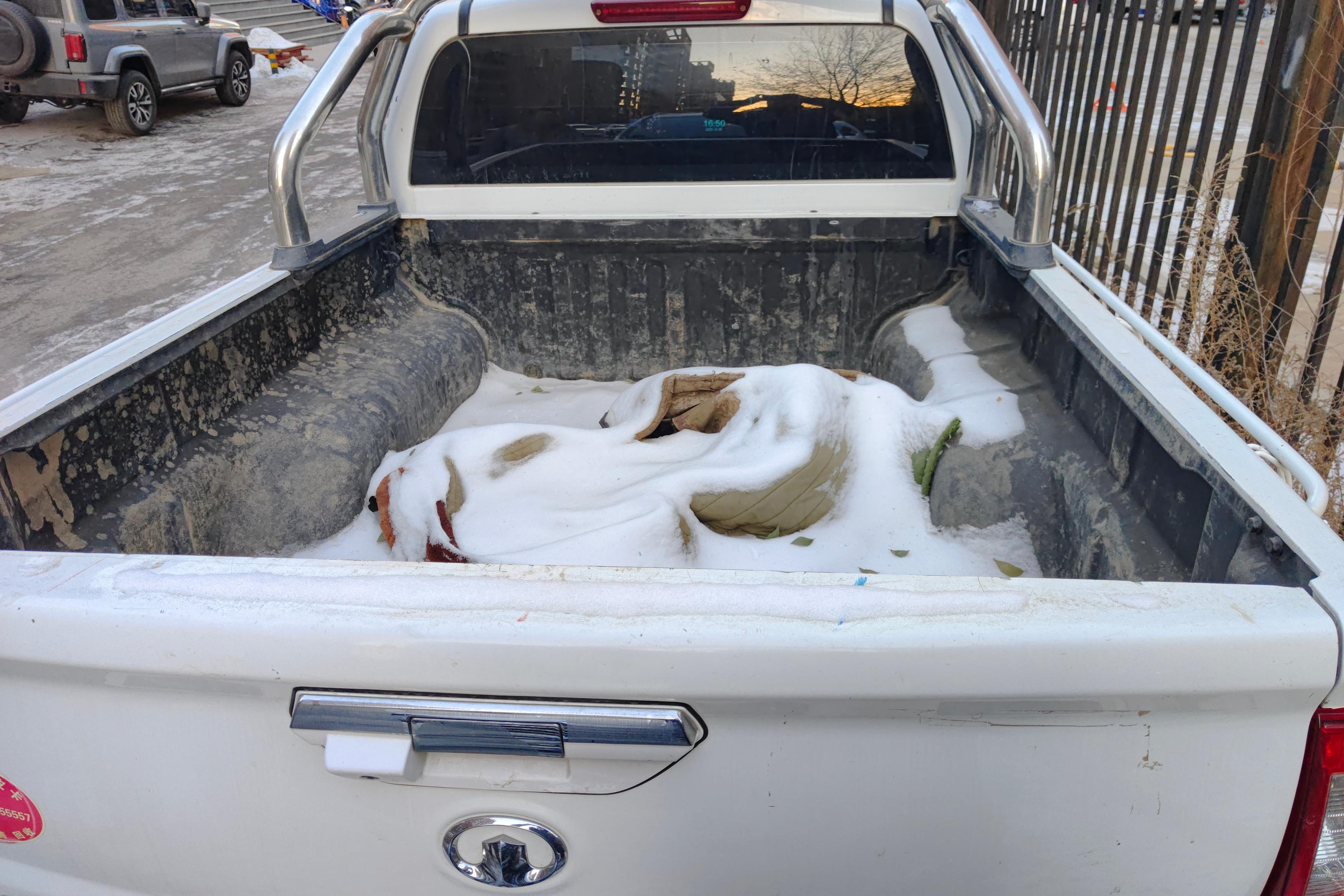 Great Wall Wingle 6 2019 car image #8