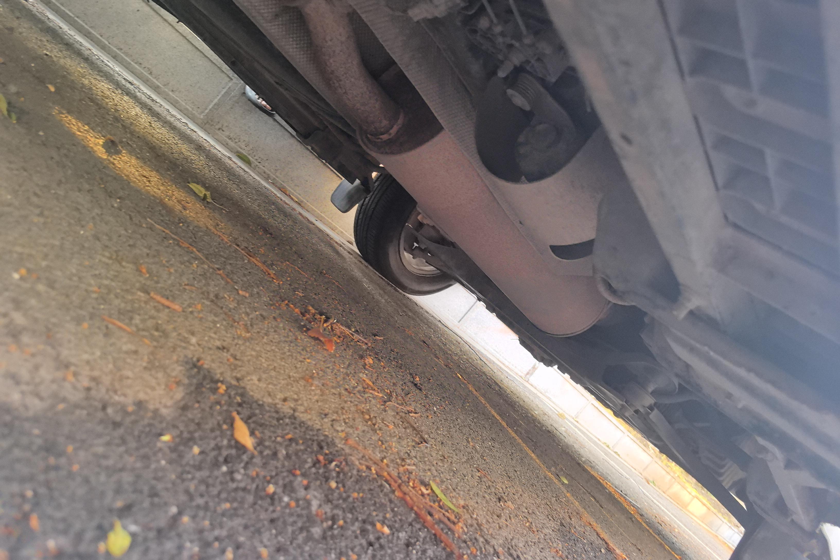 Ford Tourneo 2017 car image #8