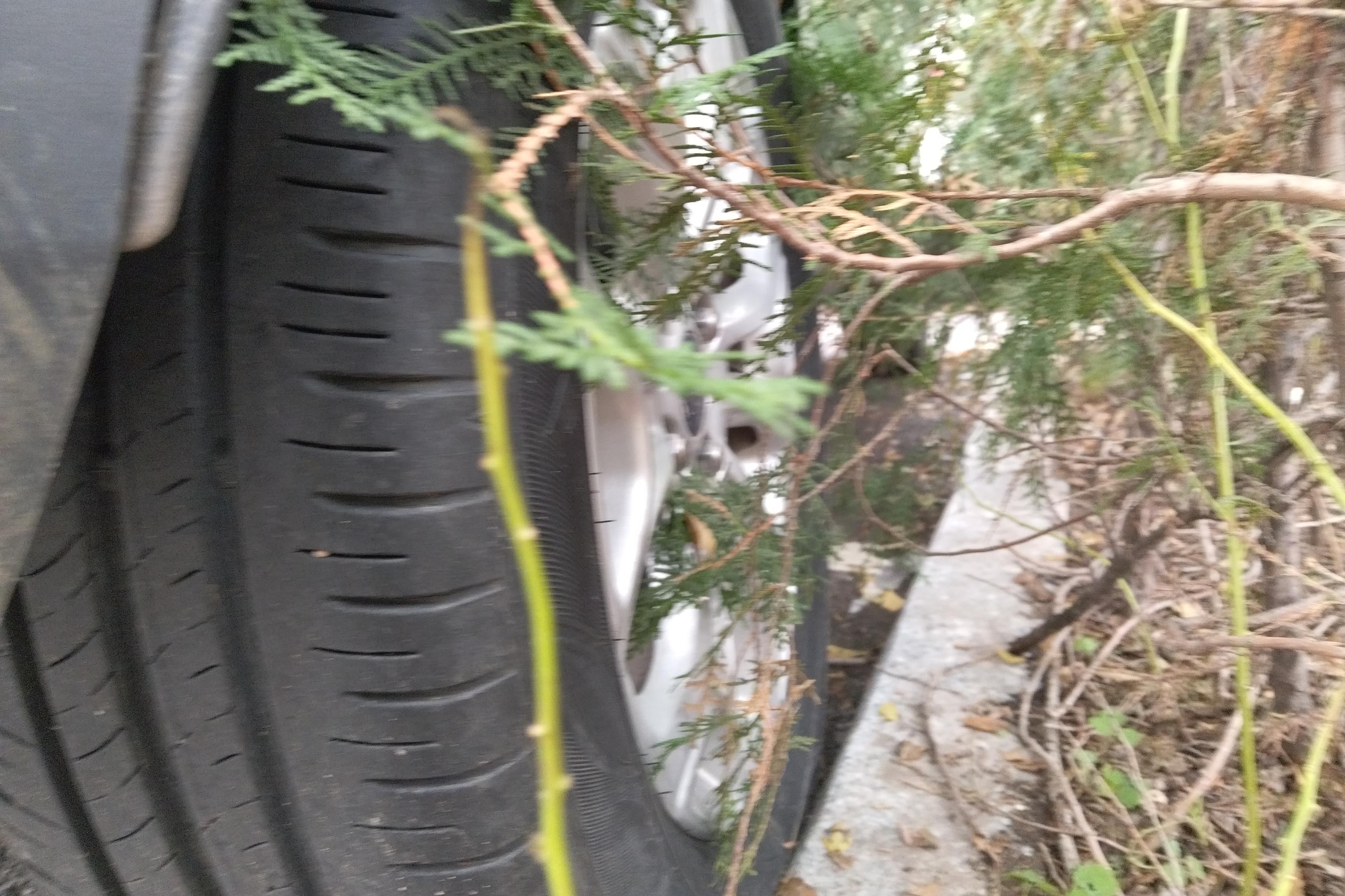 Ford EcoSport 2014 car image #8