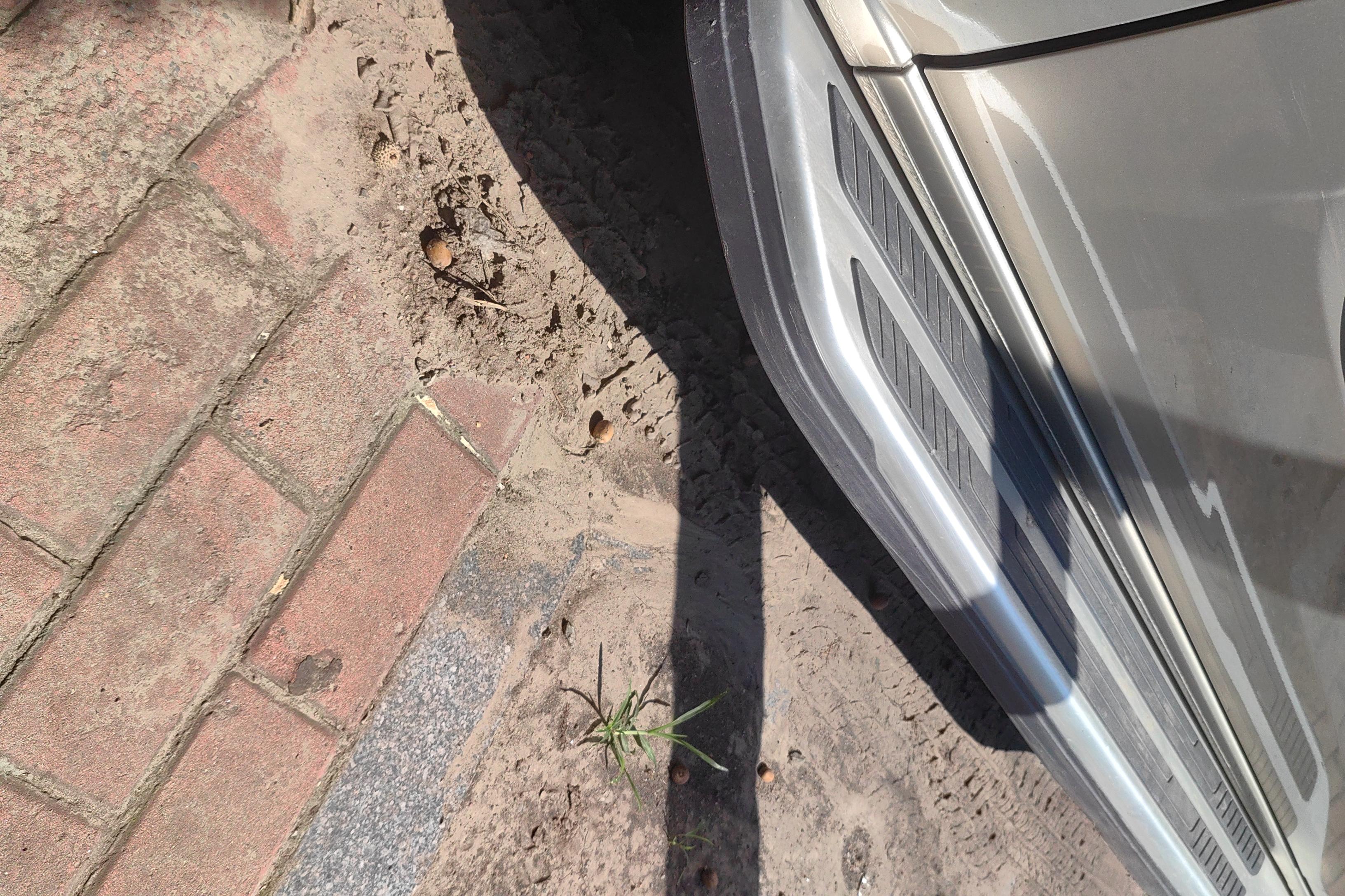 Ford Tourneo 2017 immagine di auto #8