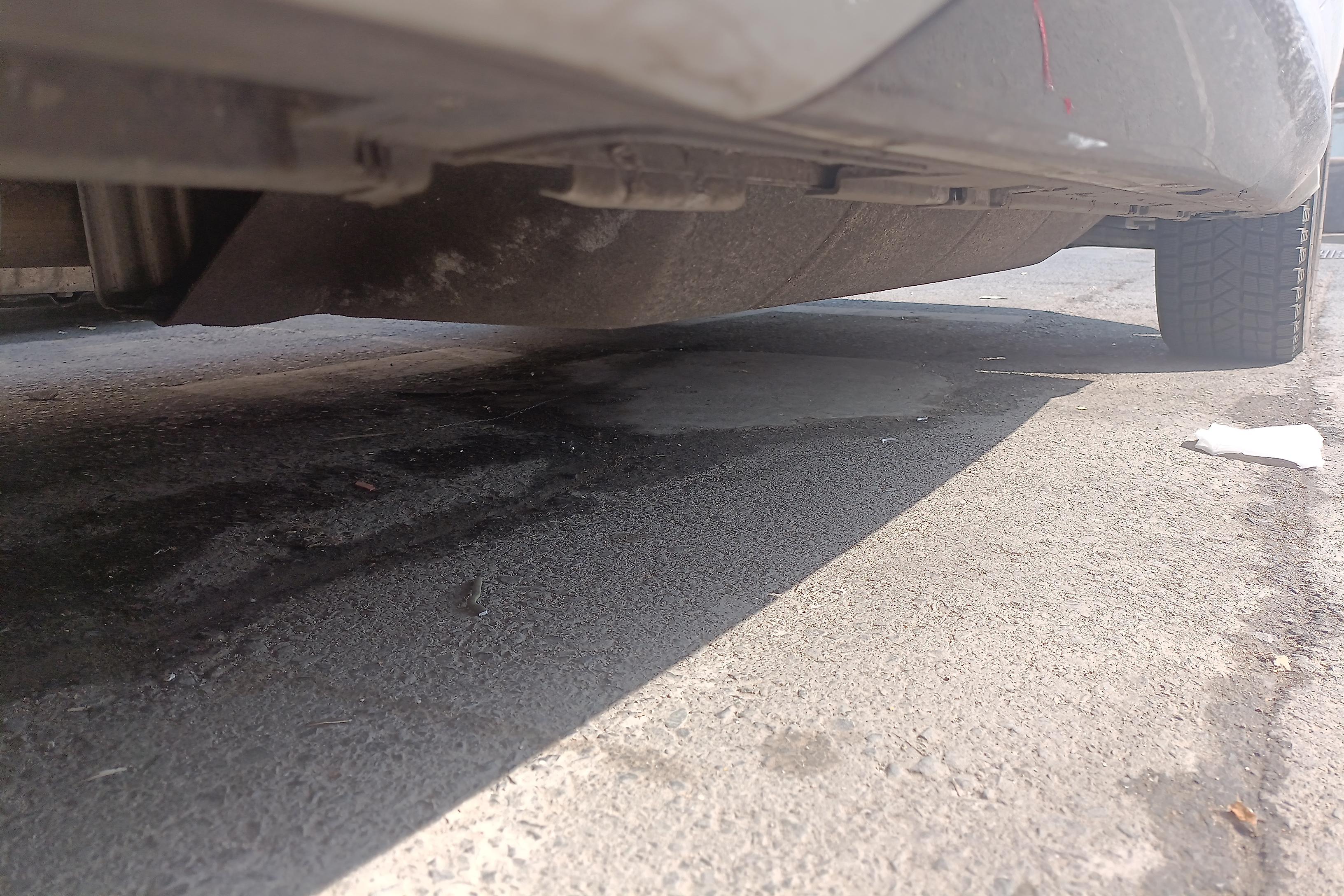 Honda Avancier 2019 car image #8