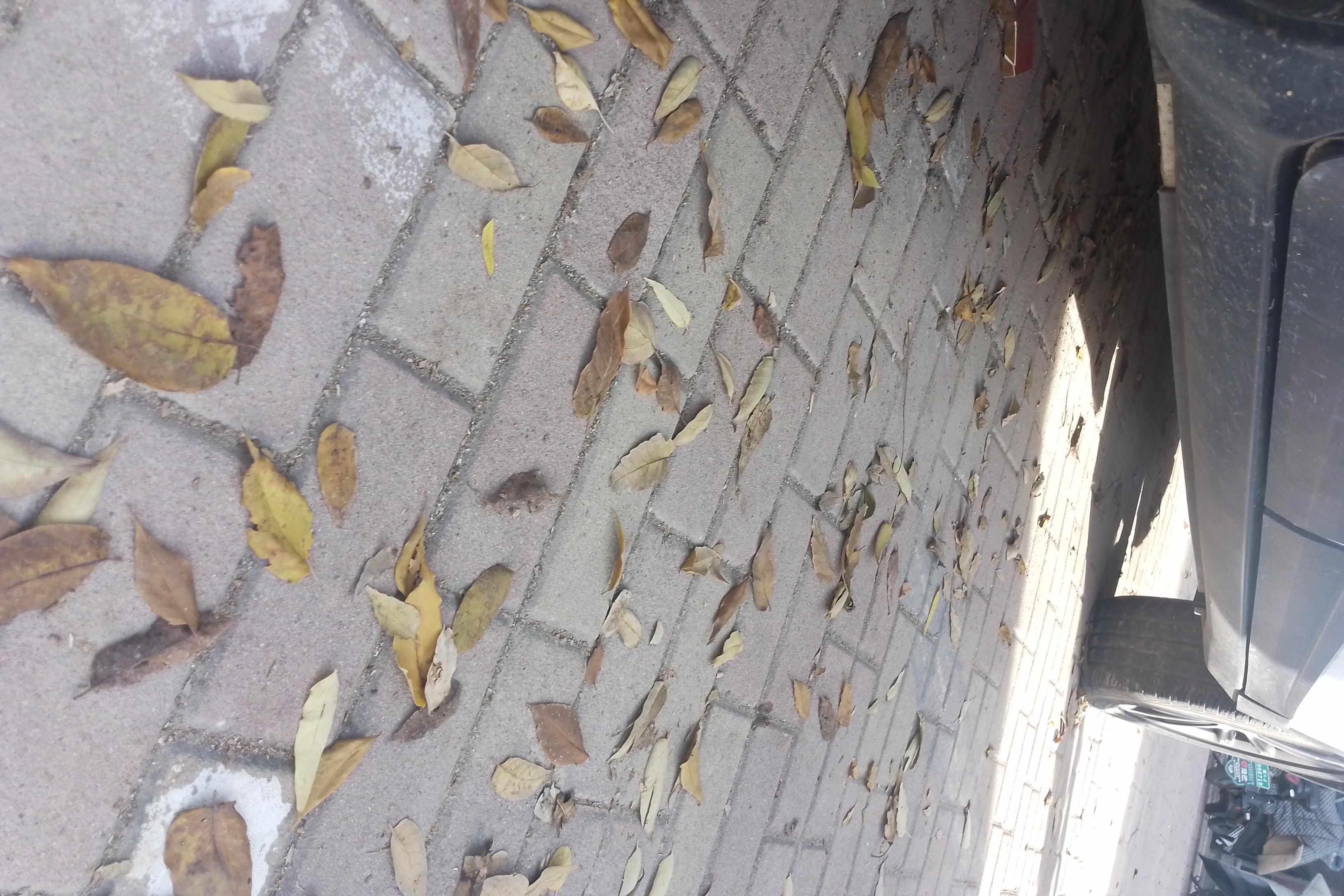 Ford Territory 2019 car image #8