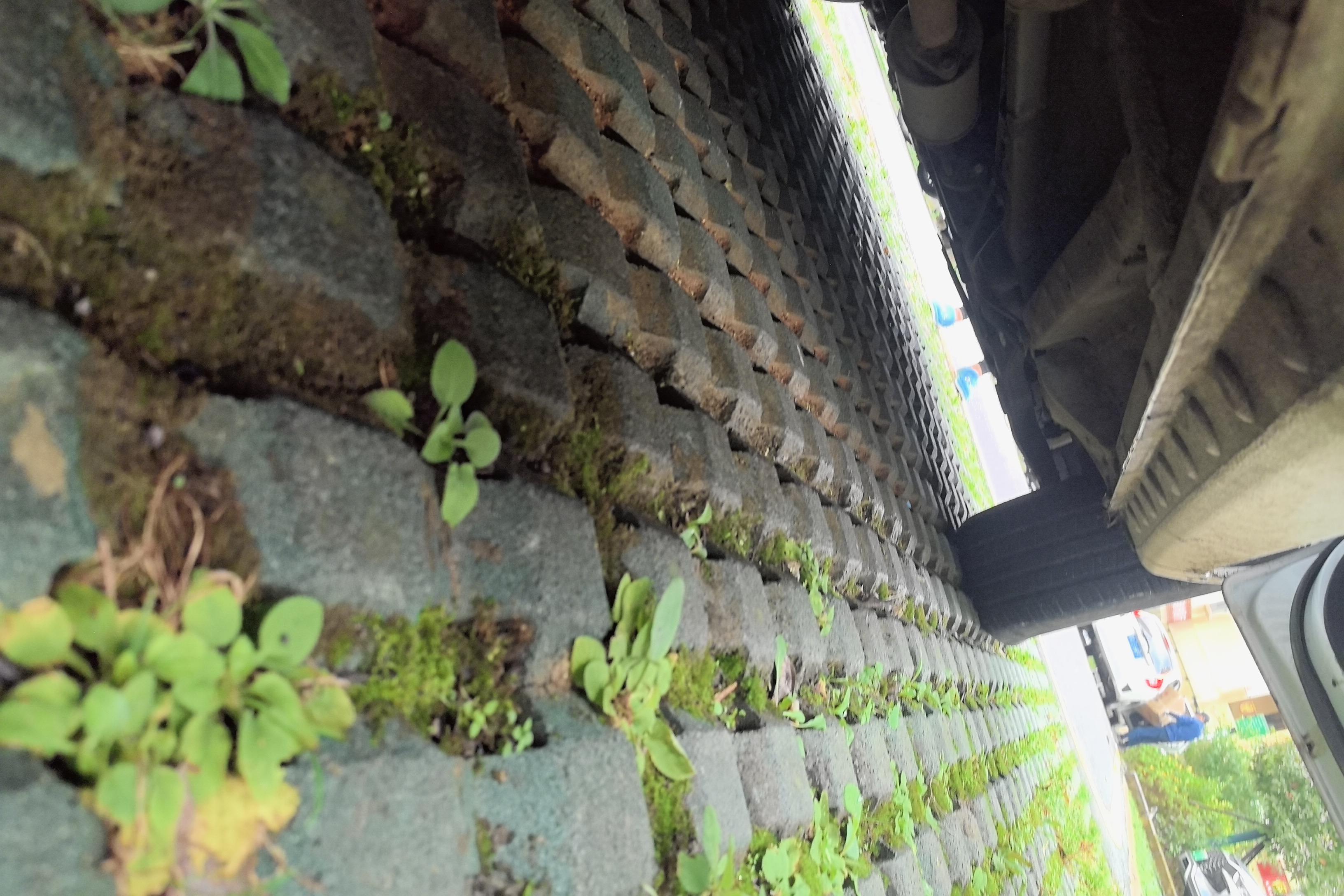 BYD Song 2021 car image #8